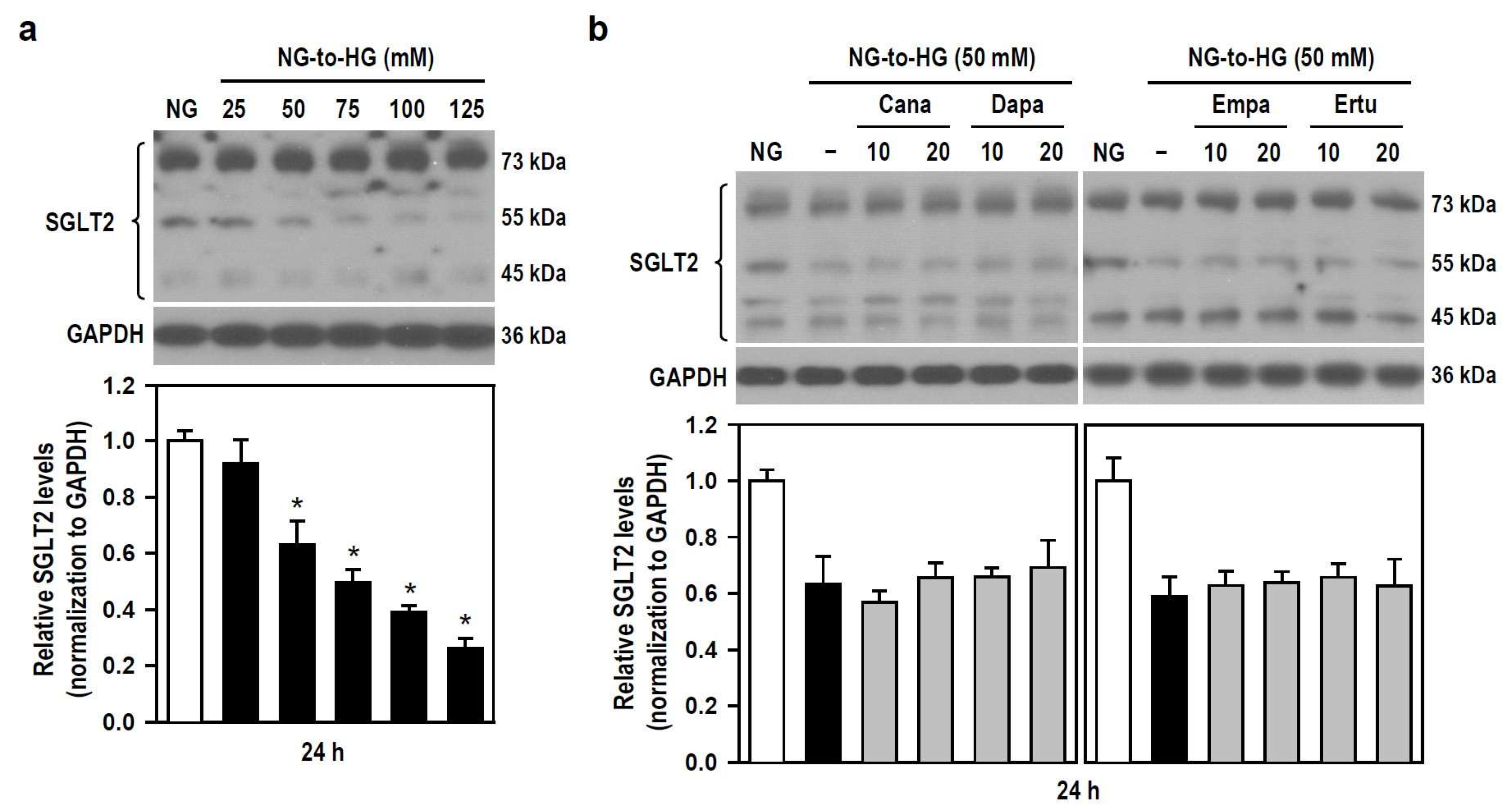 Biomedicines 12 00036 g007 Biomedicines 12 00036 g007