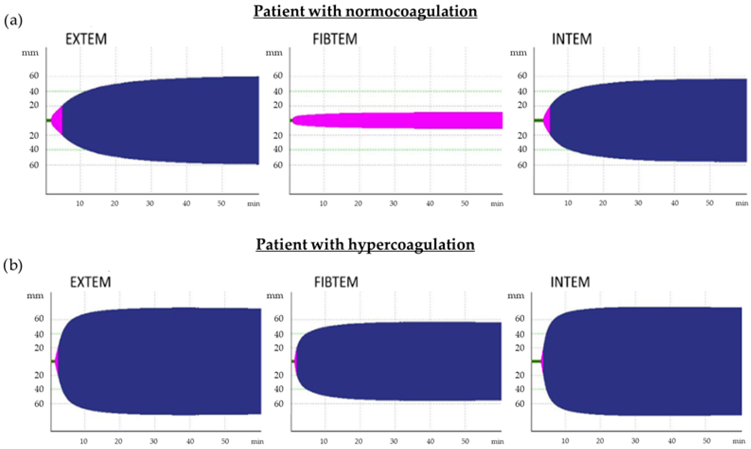 Biomedicines 12 00042 g001