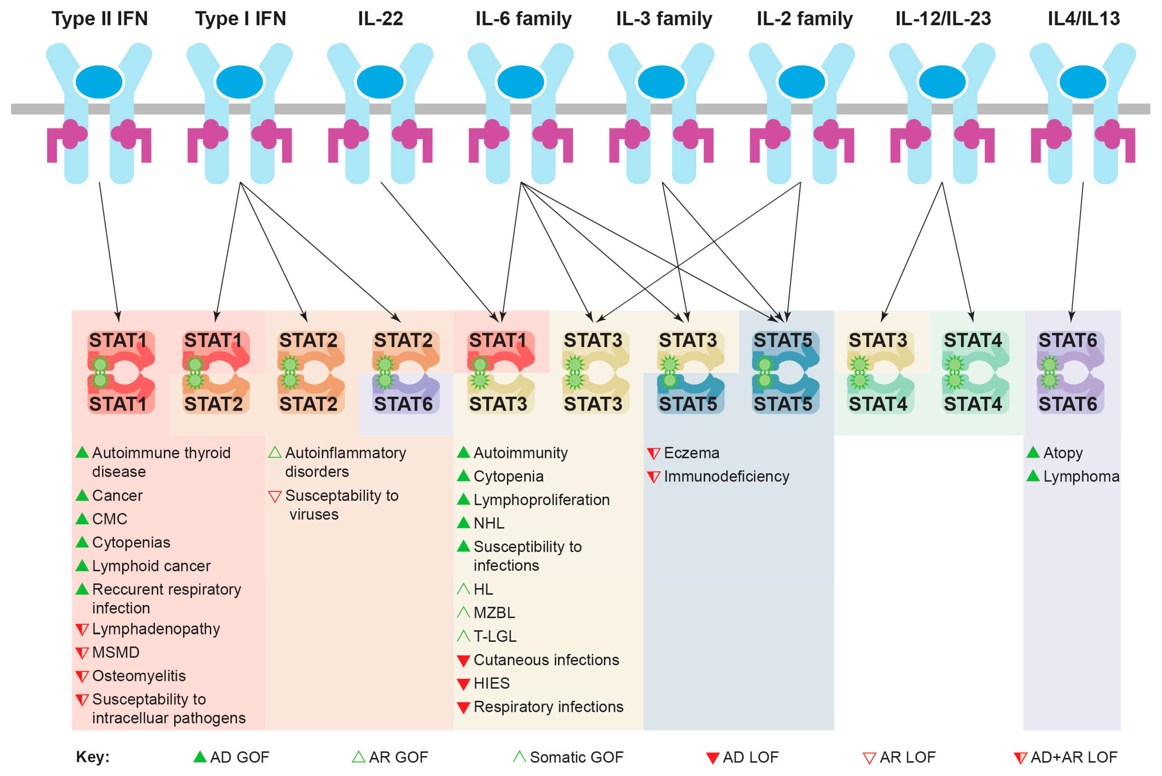Biomedicines 12 00045 g003