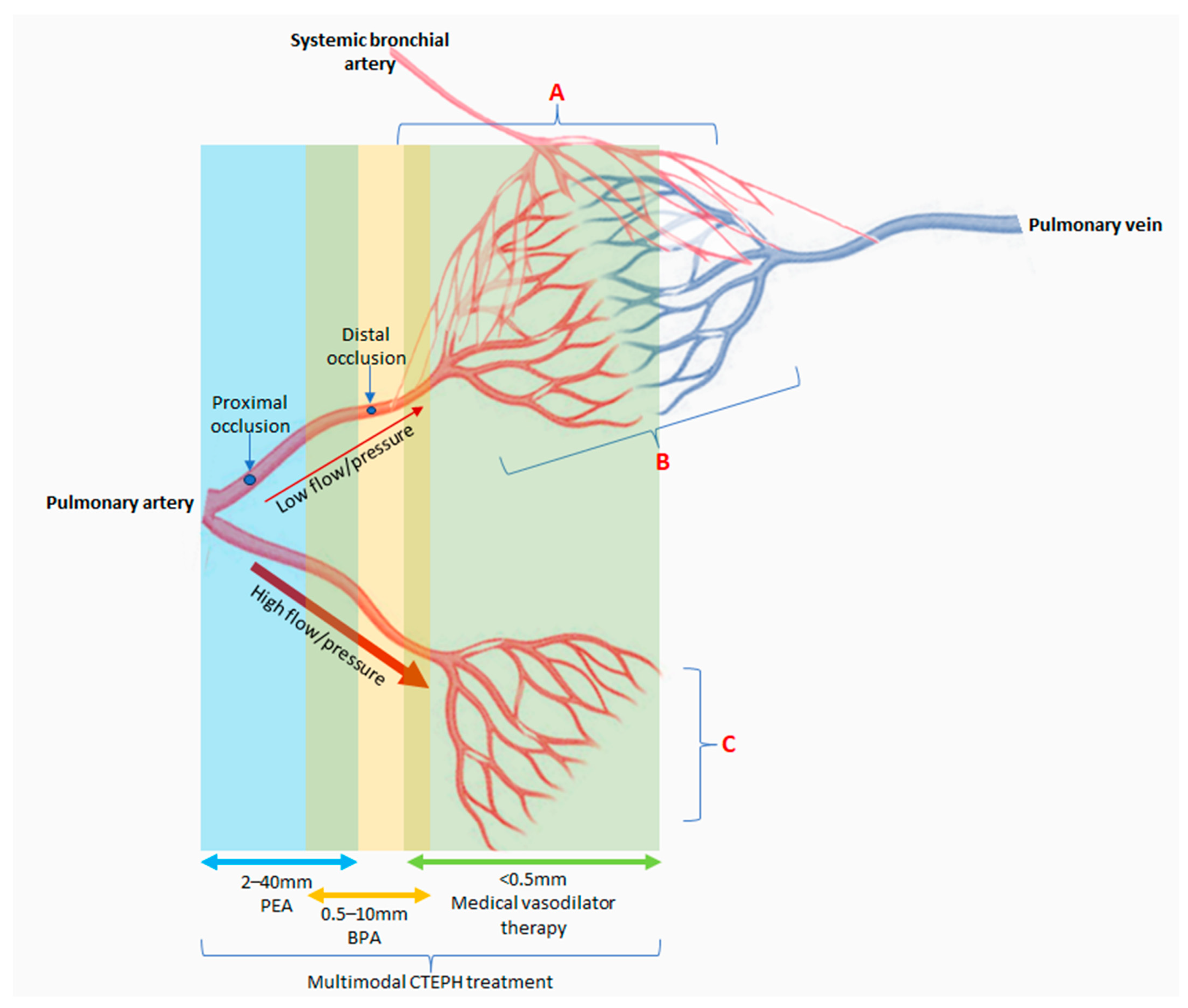 Biomedicines 12 00046 g001