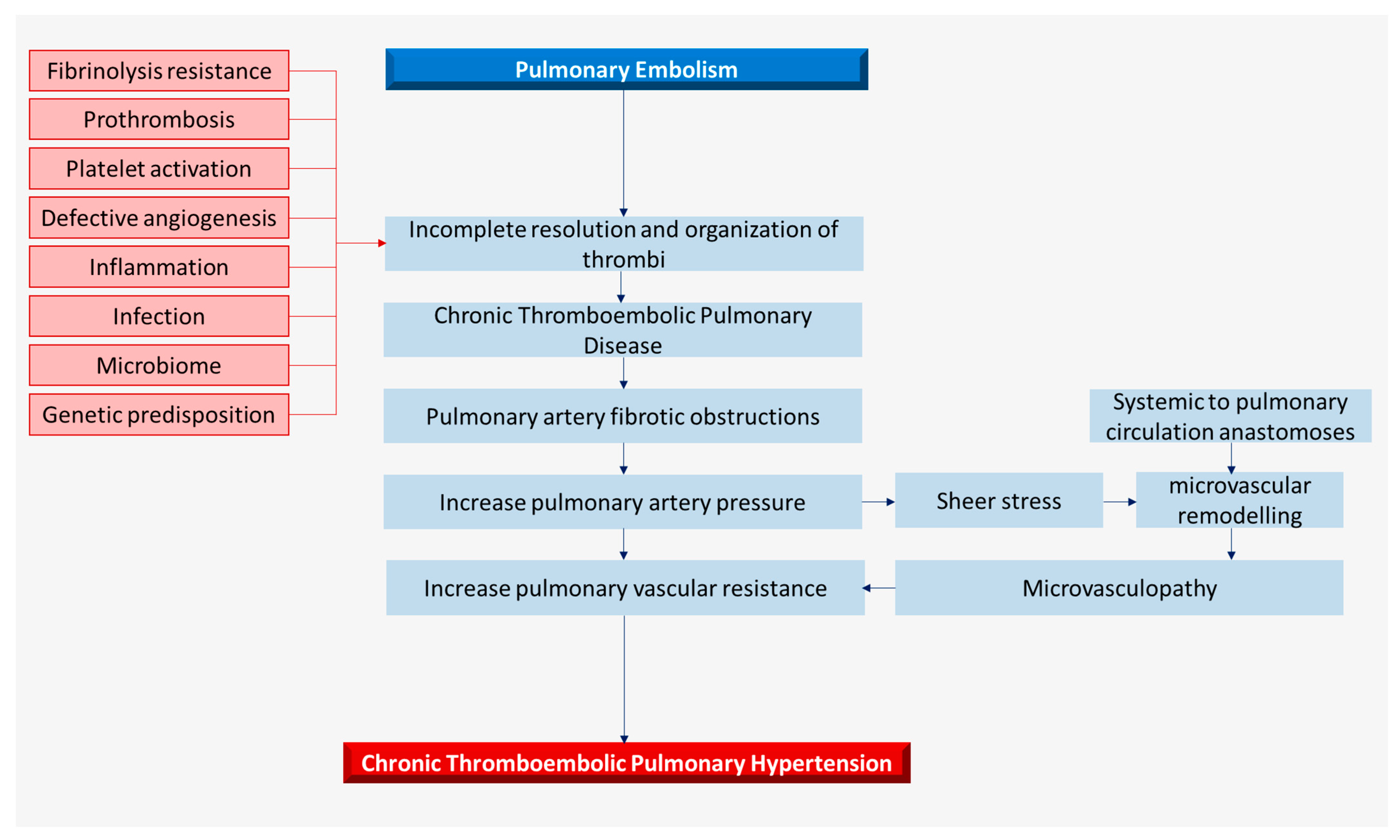 Biomedicines 12 00046 g002