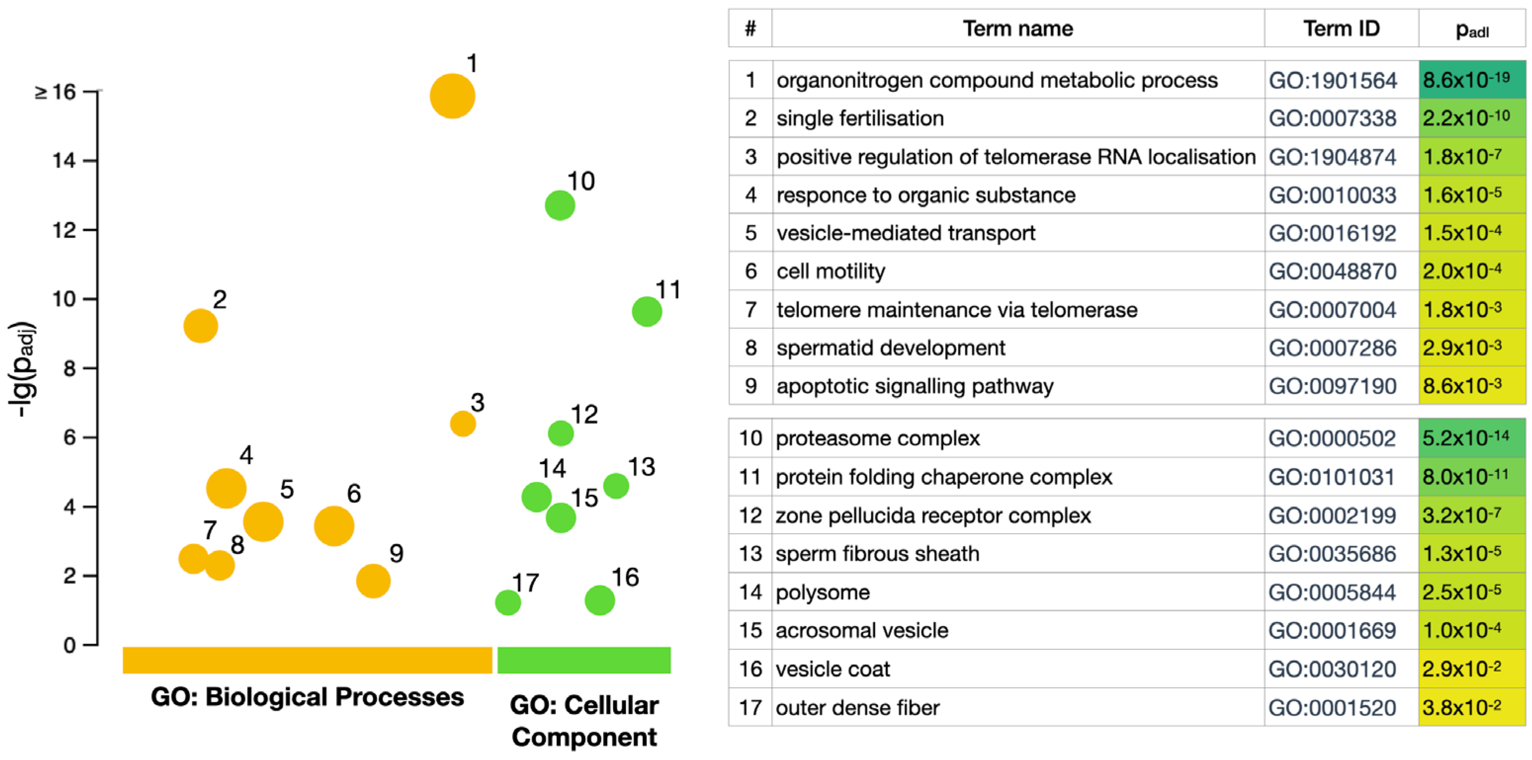 Biomedicines 12 00049 g002
