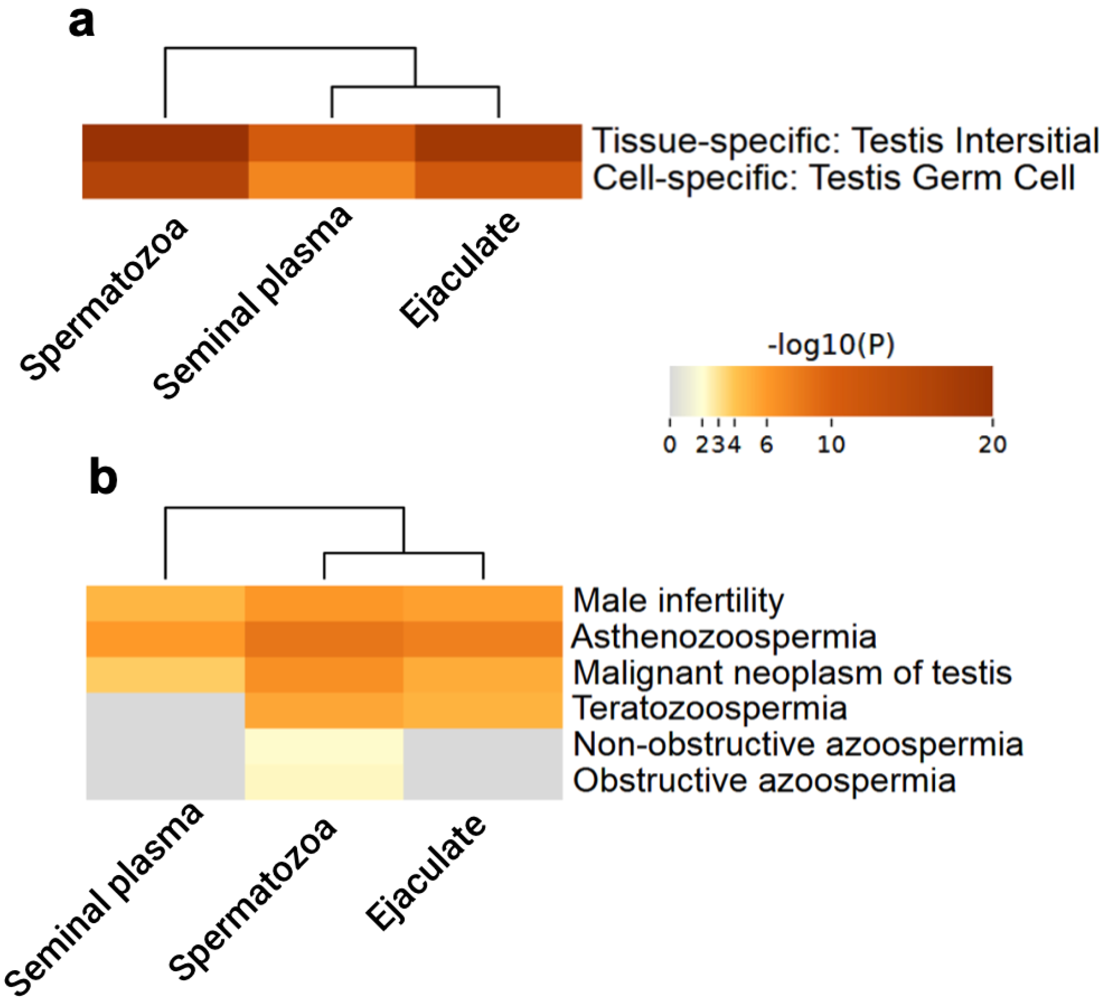 Biomedicines 12 00049 g003