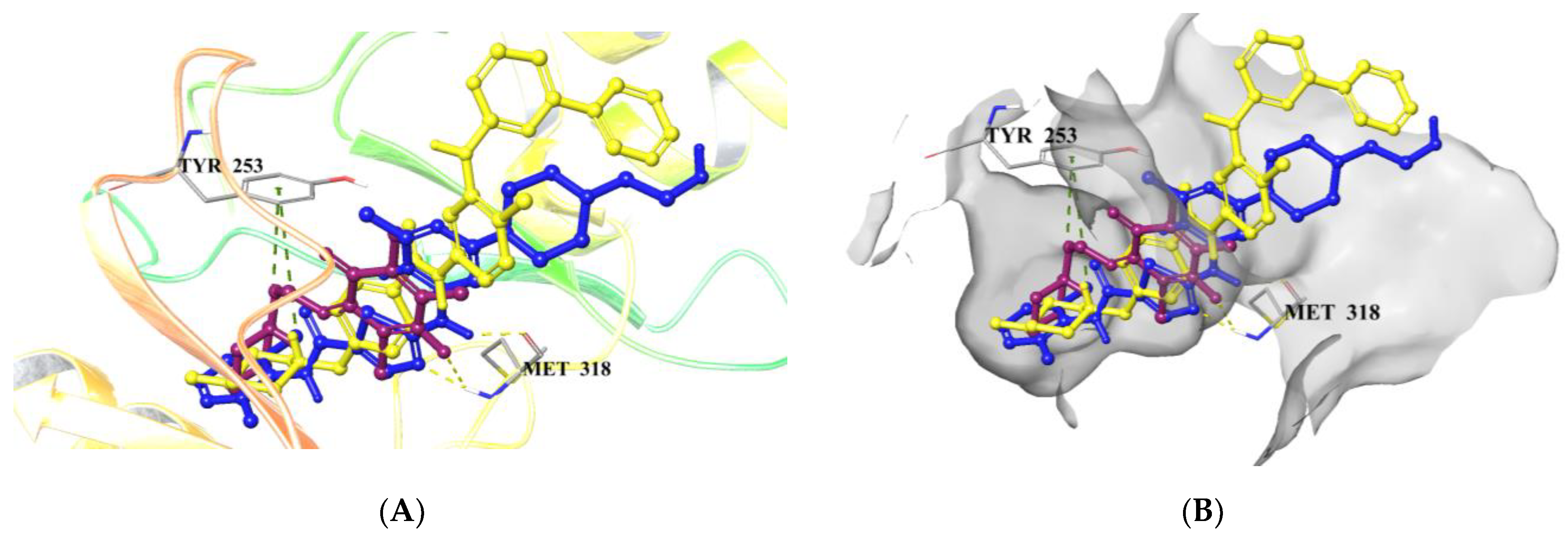 Biomedicines 12 00050 g004 Biomedicines 12 00050 g004
