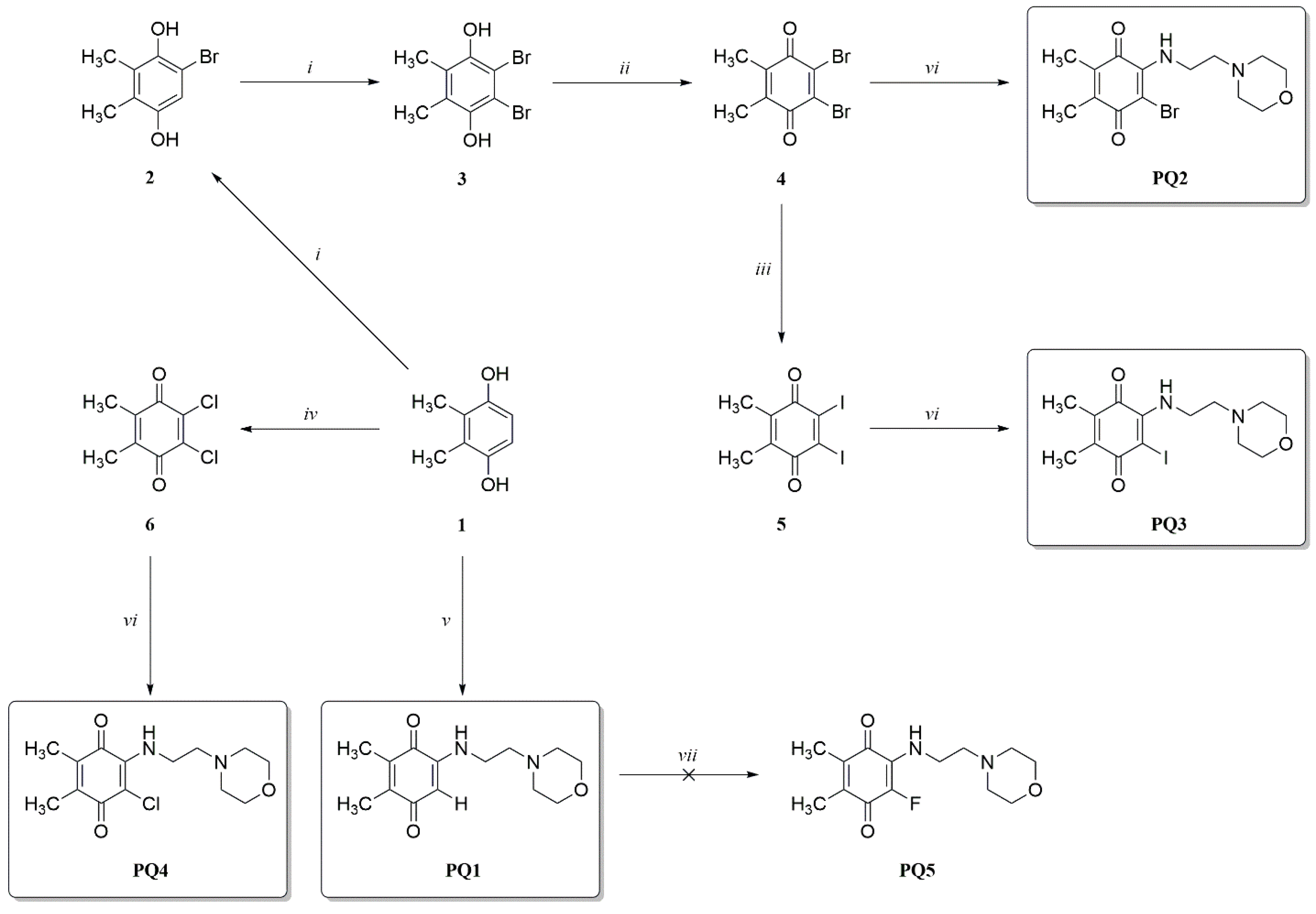 Biomedicines 12 00050 sch001 Biomedicines 12 00050 sch001
