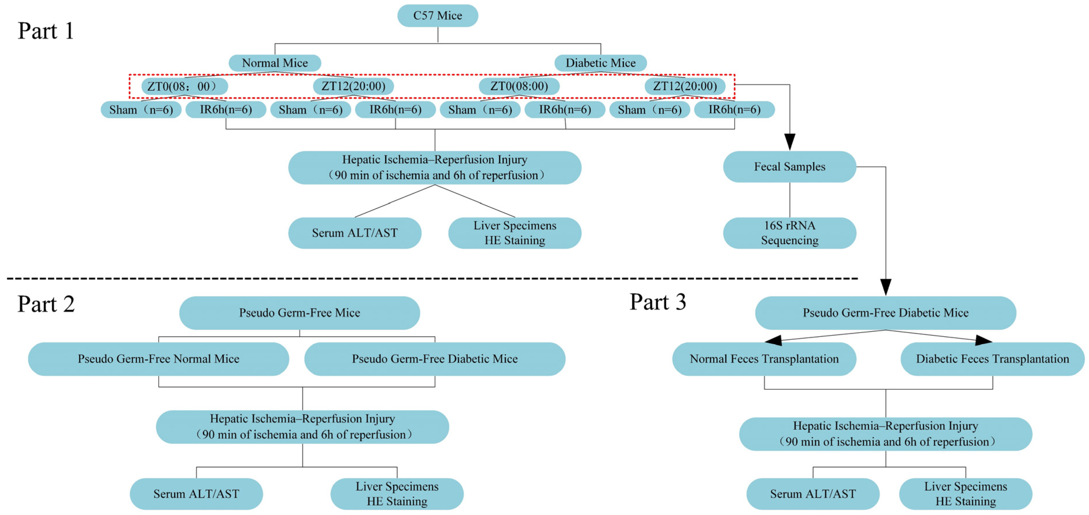 Biomedicines 12 00054 g001