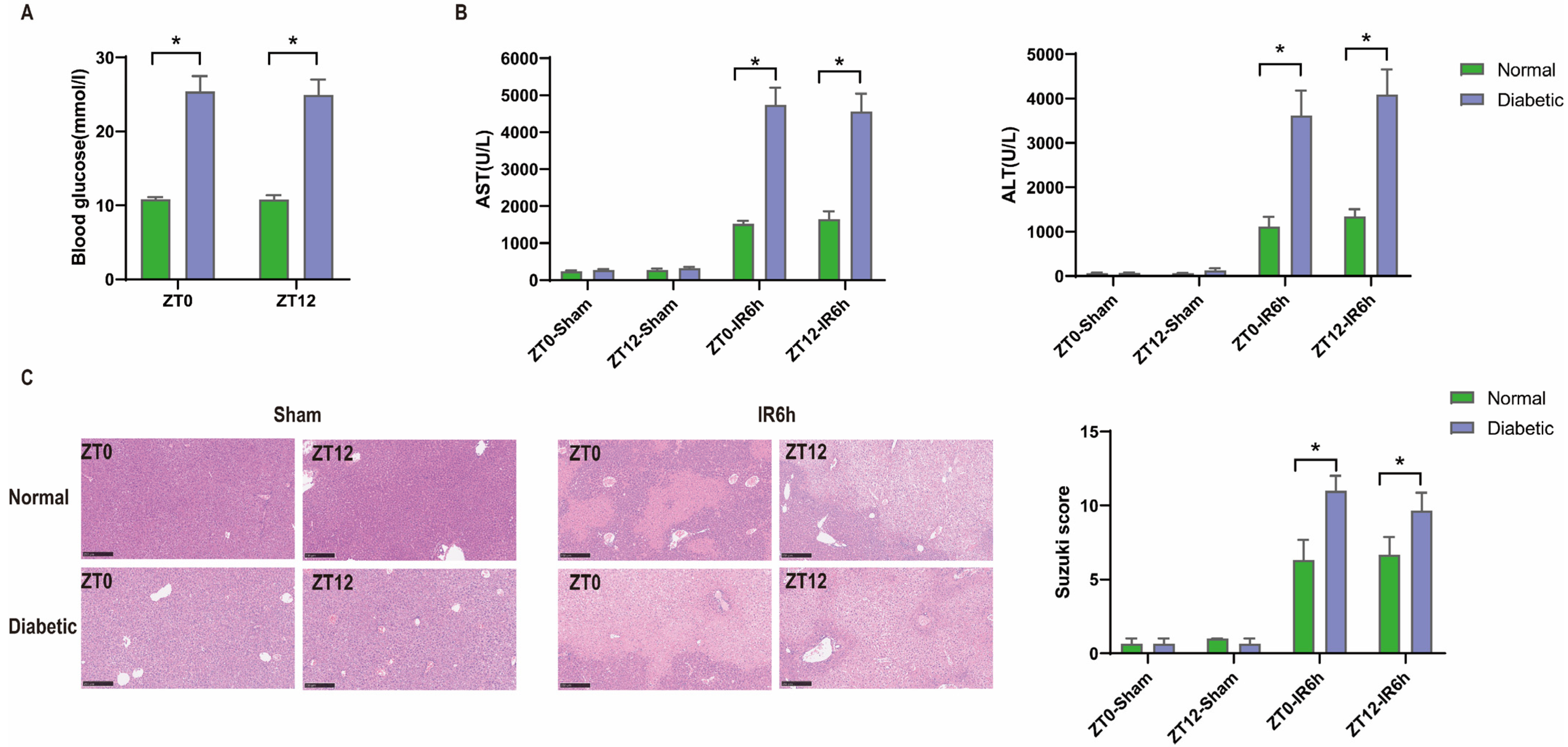 Biomedicines 12 00054 g002