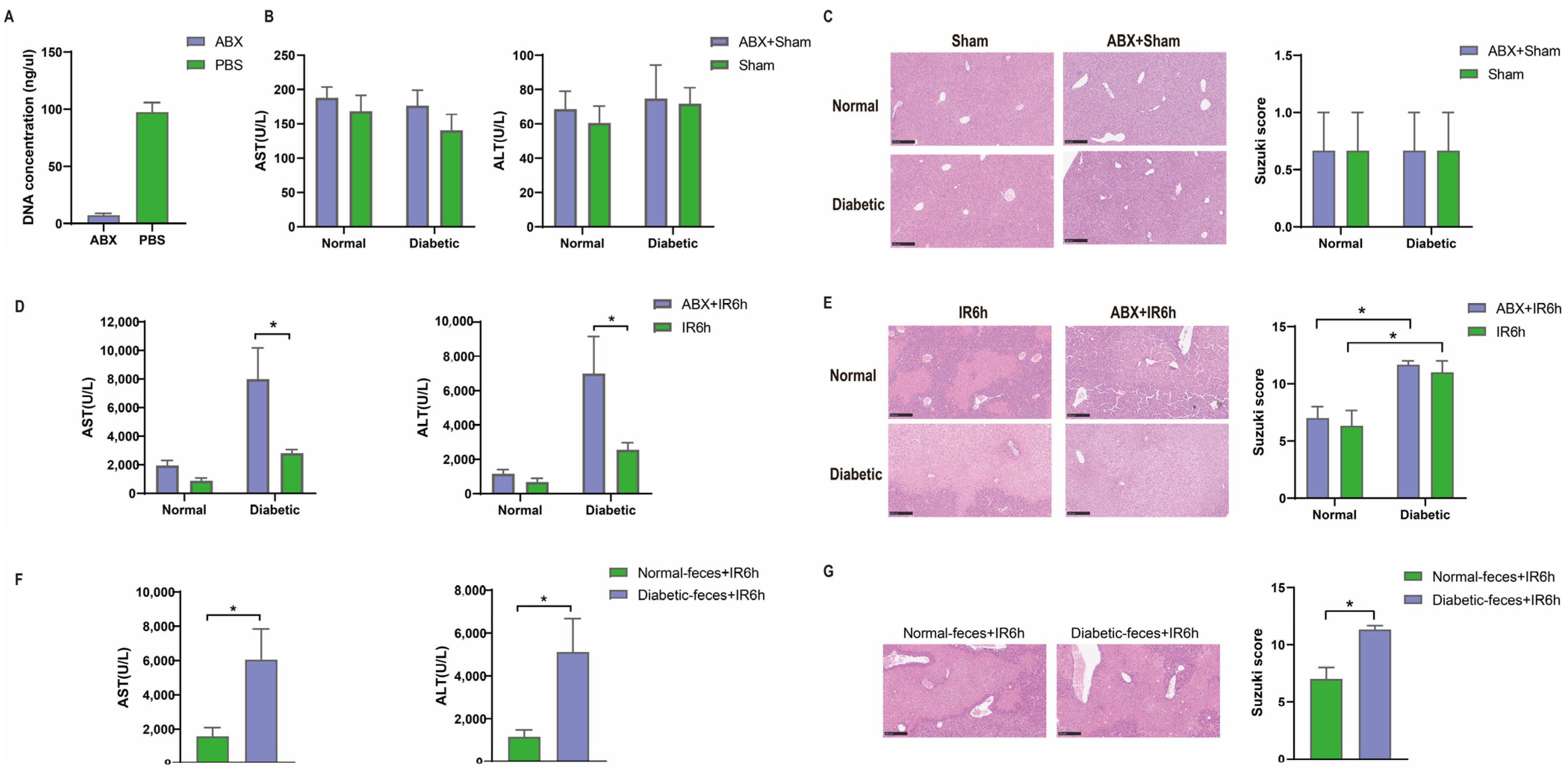 Biomedicines 12 00054 g003