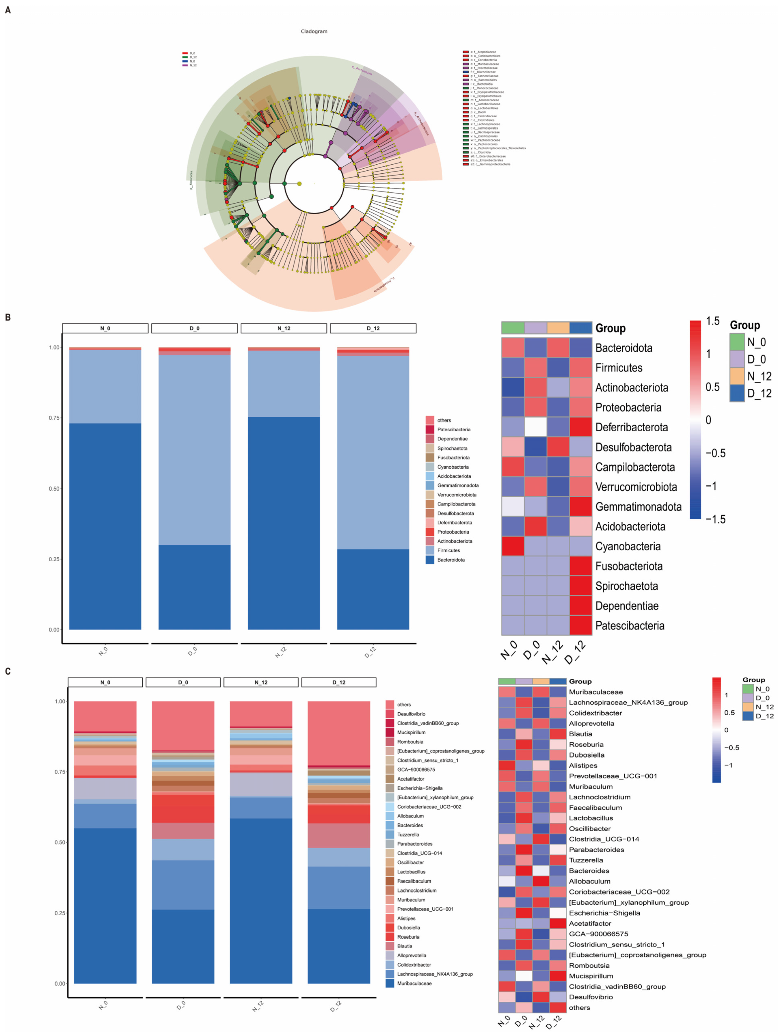 Biomedicines 12 00054 g004