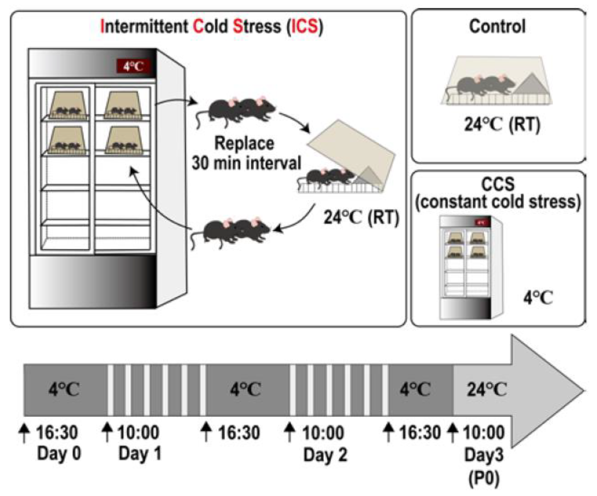 Biomedicines 12 00056 g001 Biomedicines 12 00056 g001