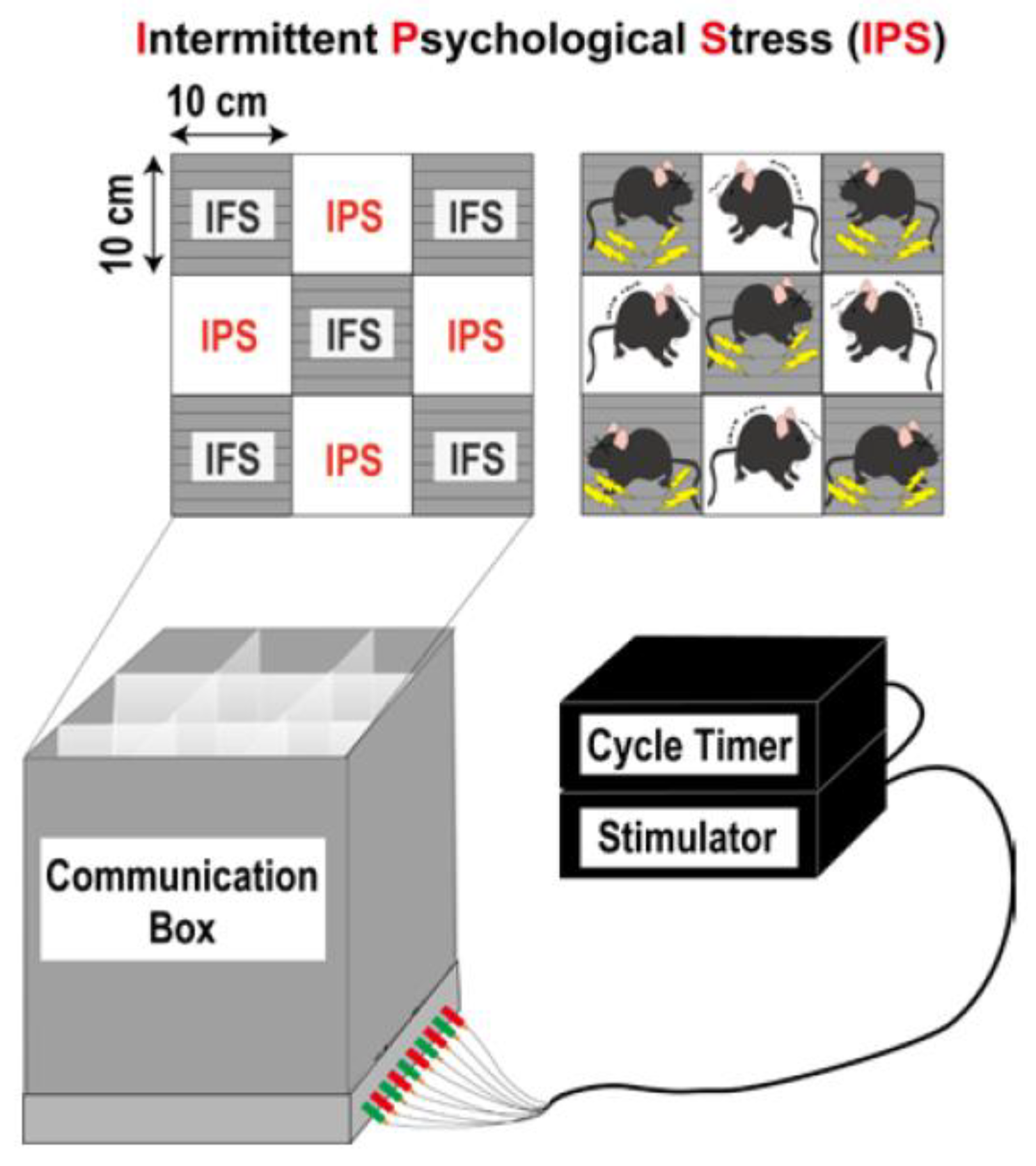 Biomedicines 12 00056 g002 Biomedicines 12 00056 g002