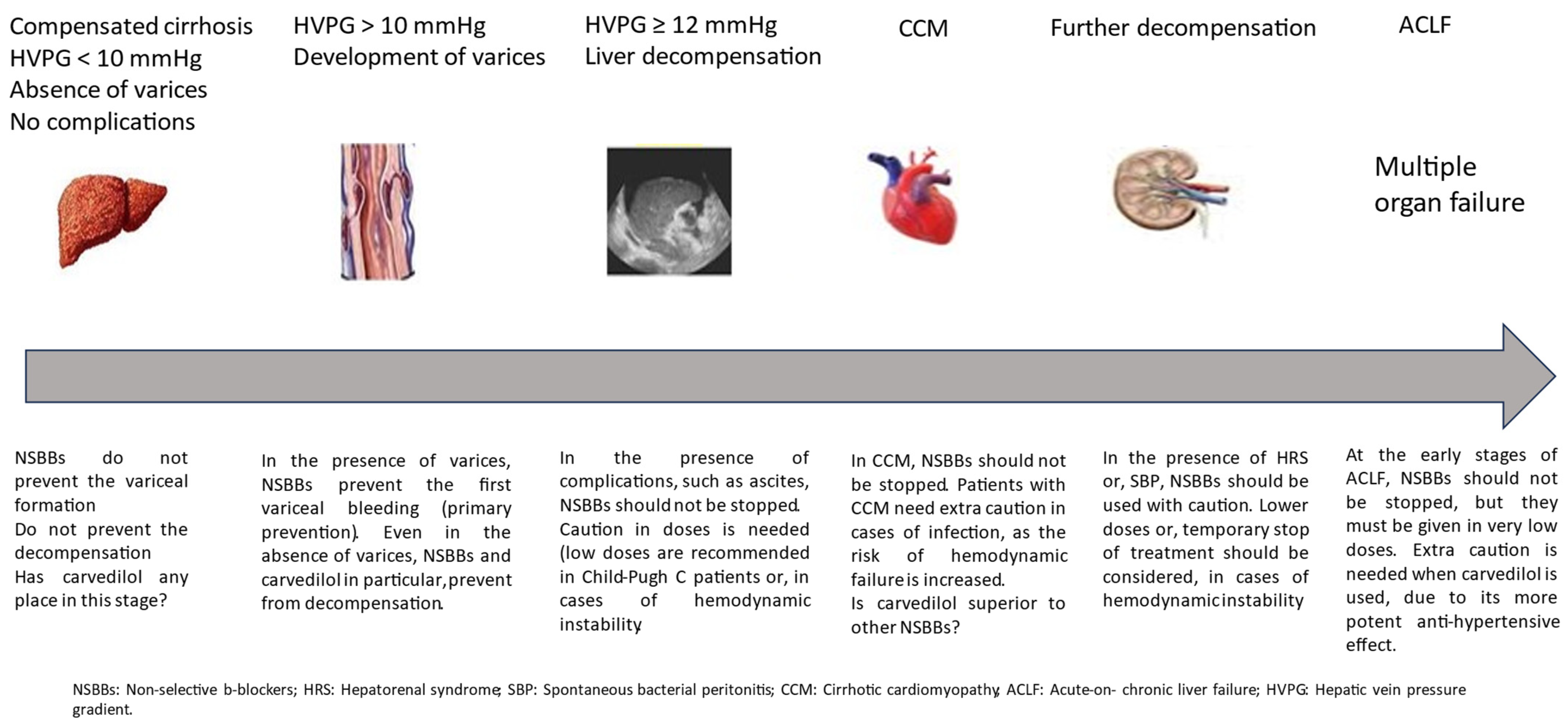 Biomedicines 12 00057 g001