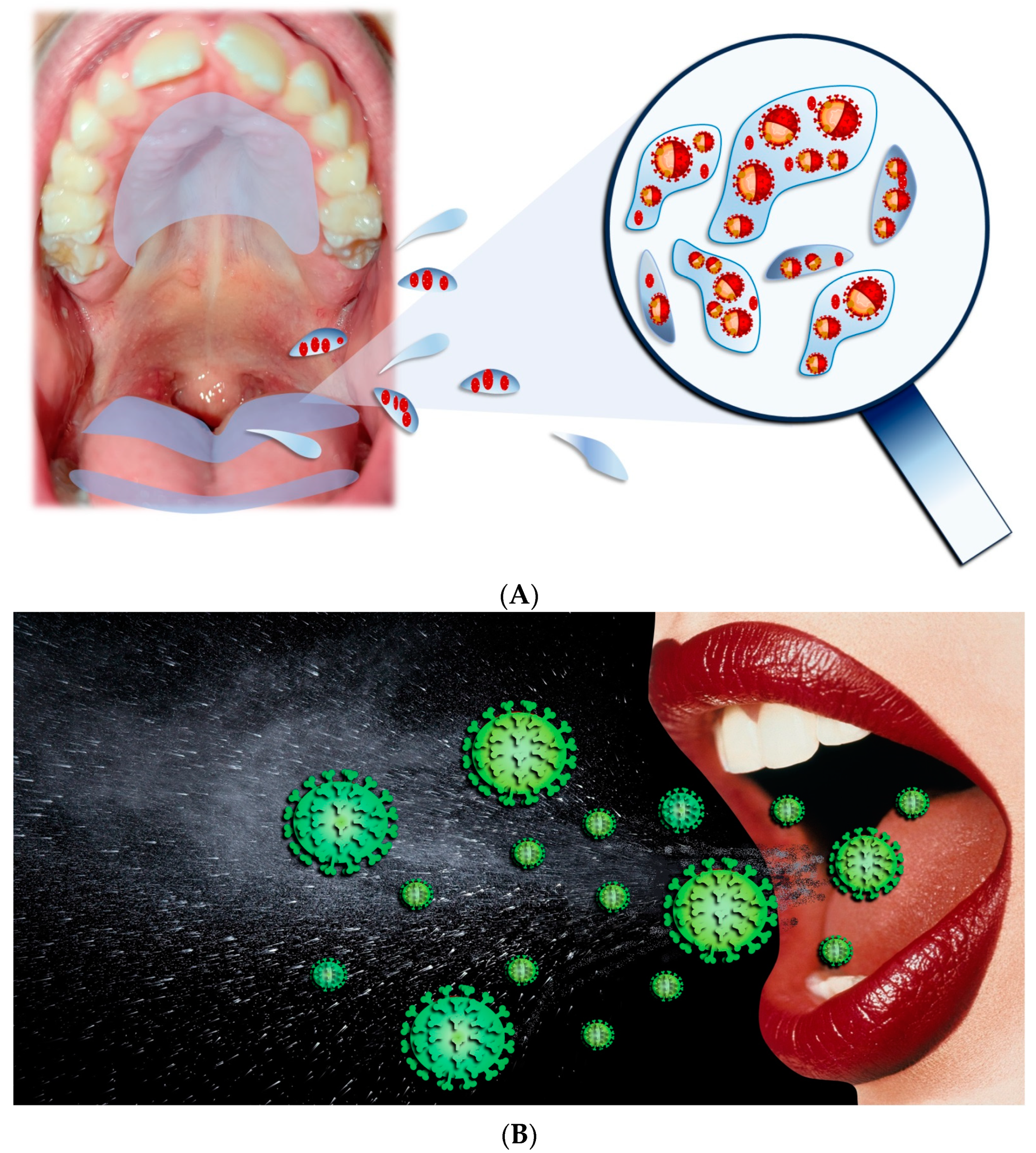 Biomedicines 12 00060 g004