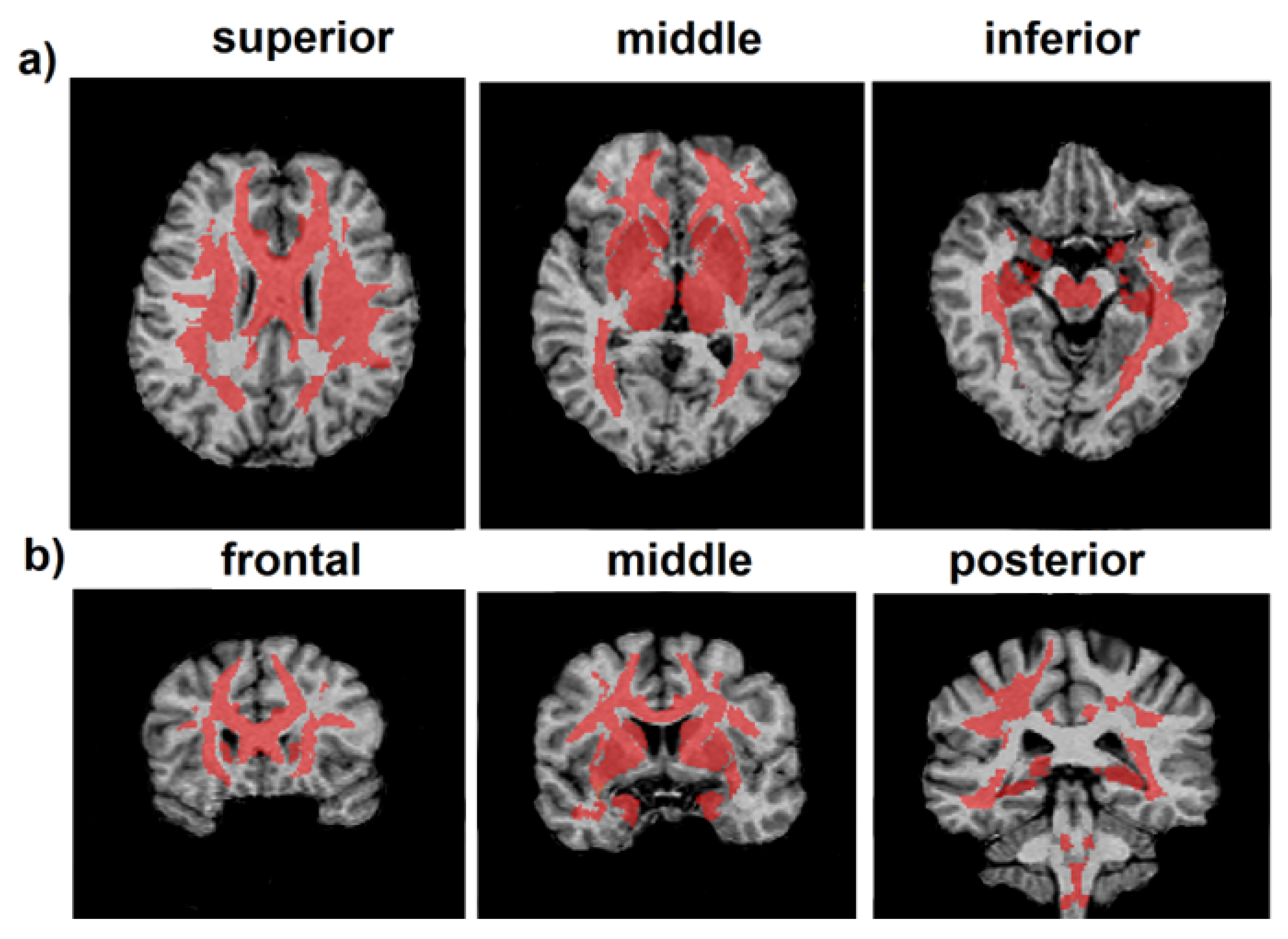 Biomedicines 12 00061 g005
