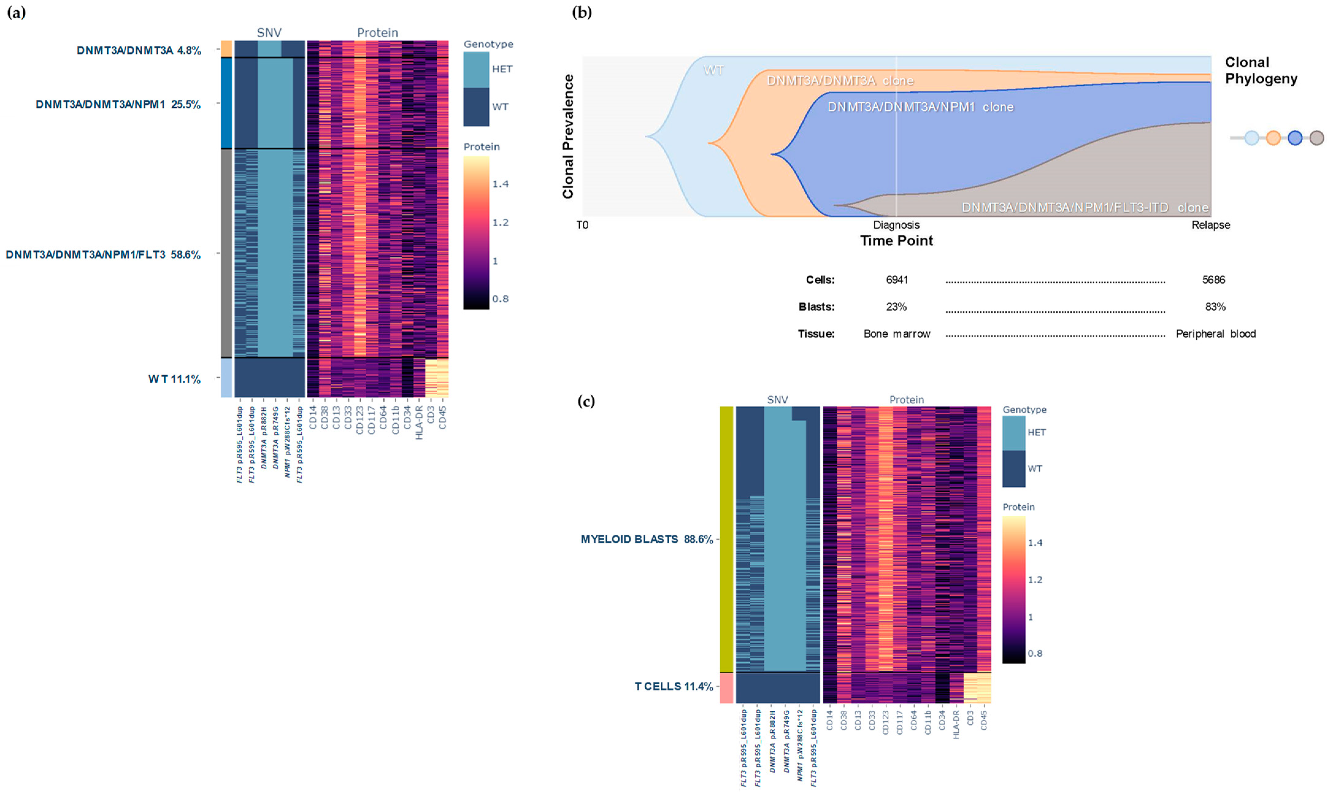 Biomedicines 12 00066 g004