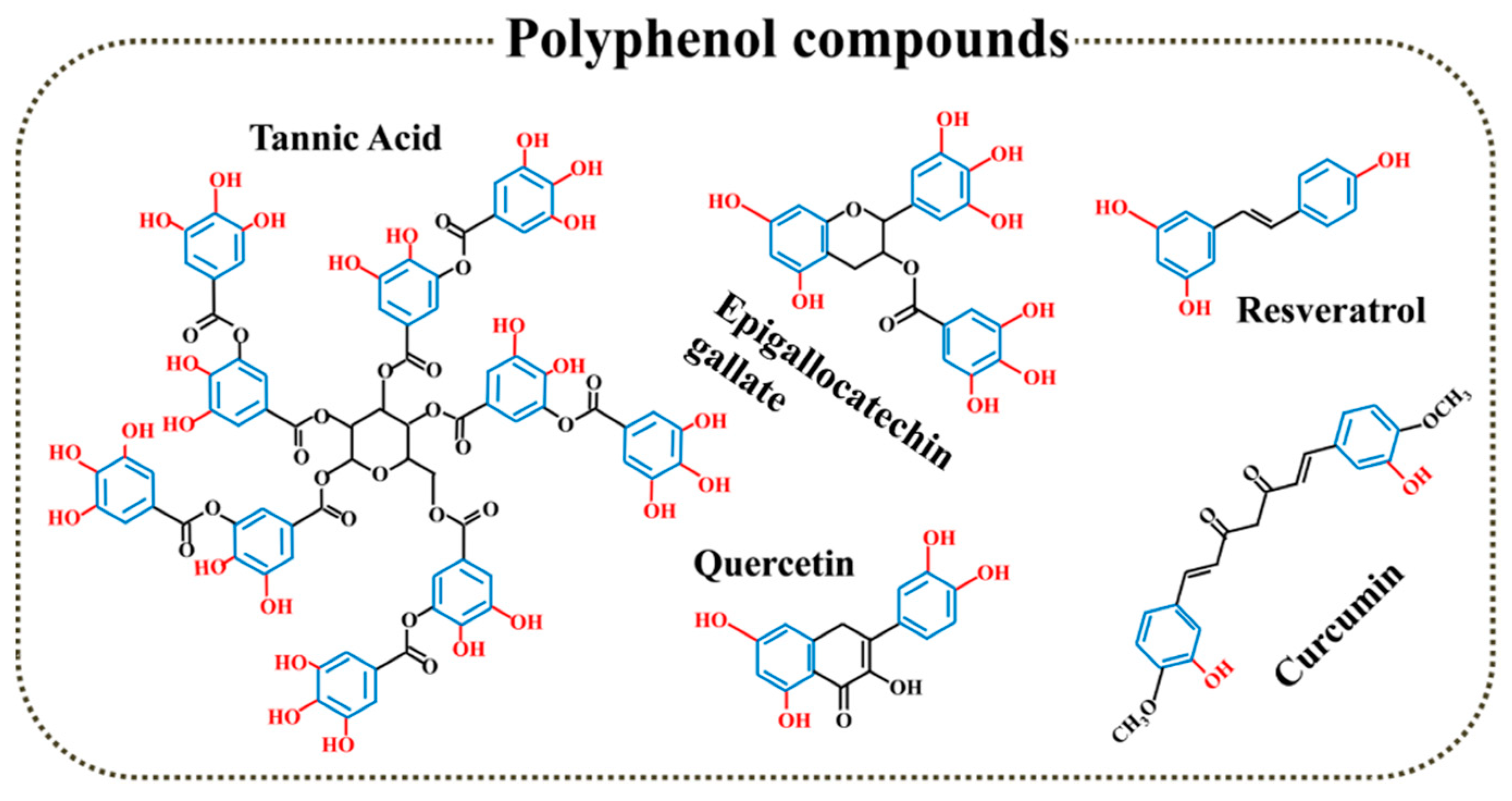 Biomedicines 12 00070 g003 Biomedicines 12 00070 g003