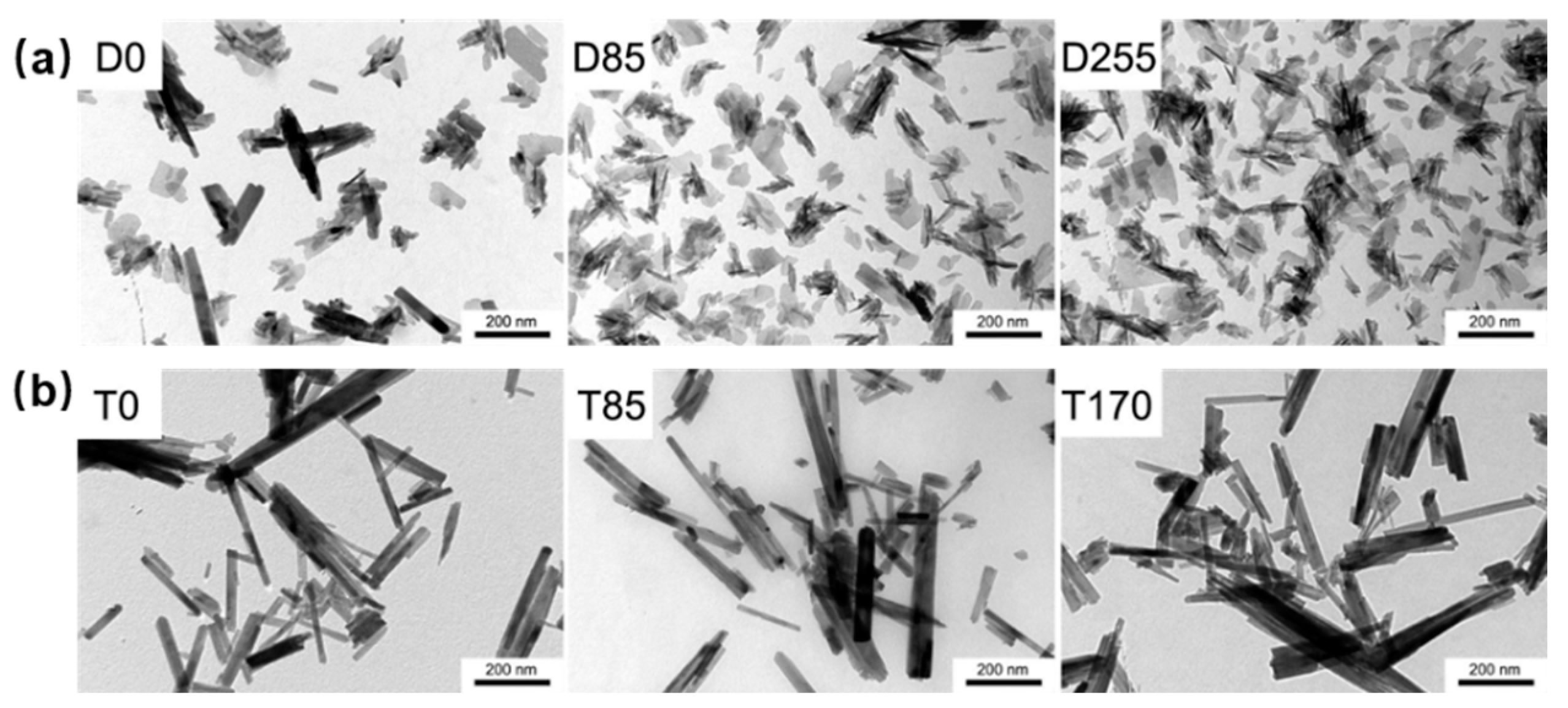 Biomedicines 12 00070 g004 Biomedicines 12 00070 g004