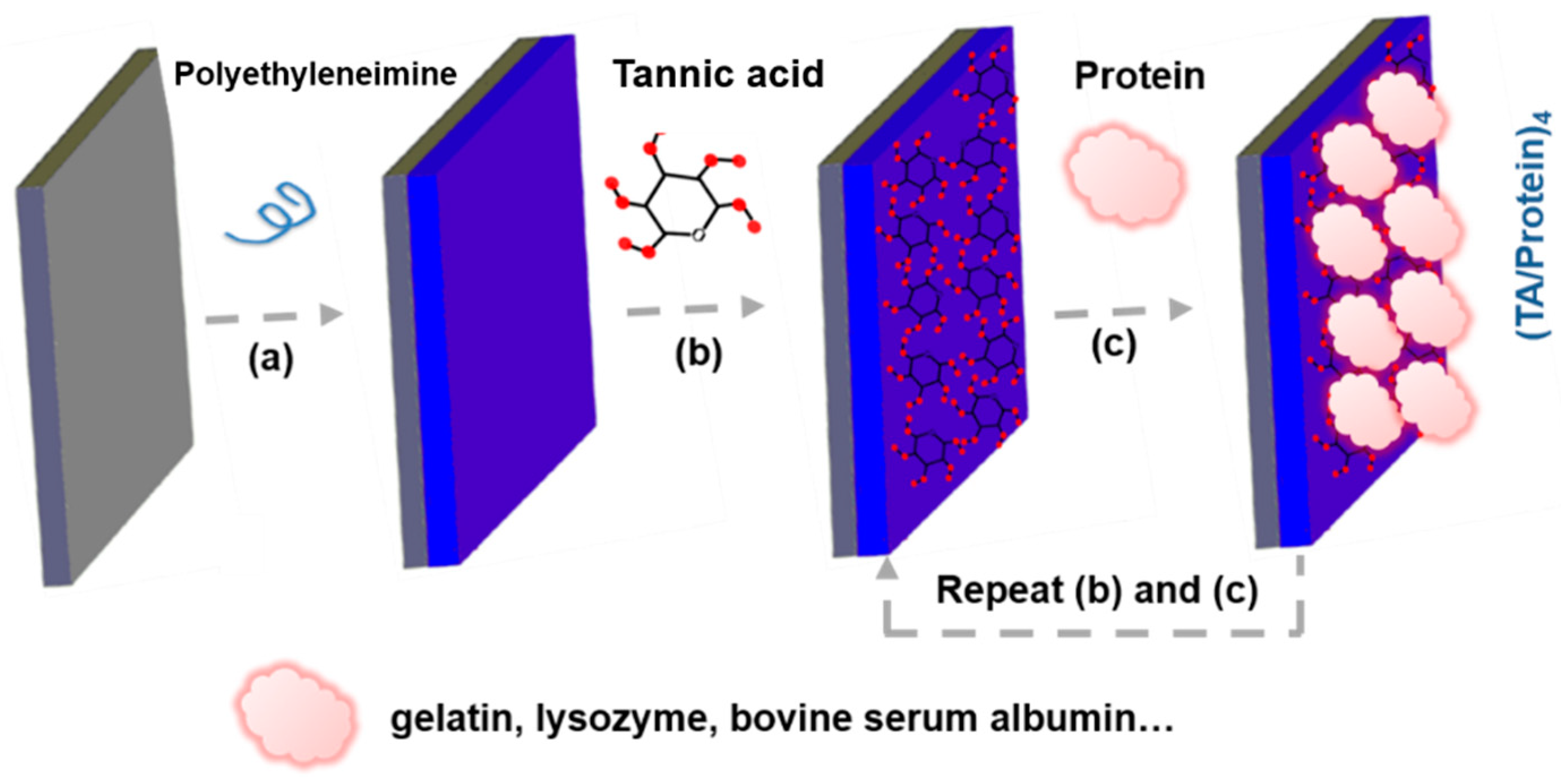 Biomedicines 12 00070 g005 Biomedicines 12 00070 g005