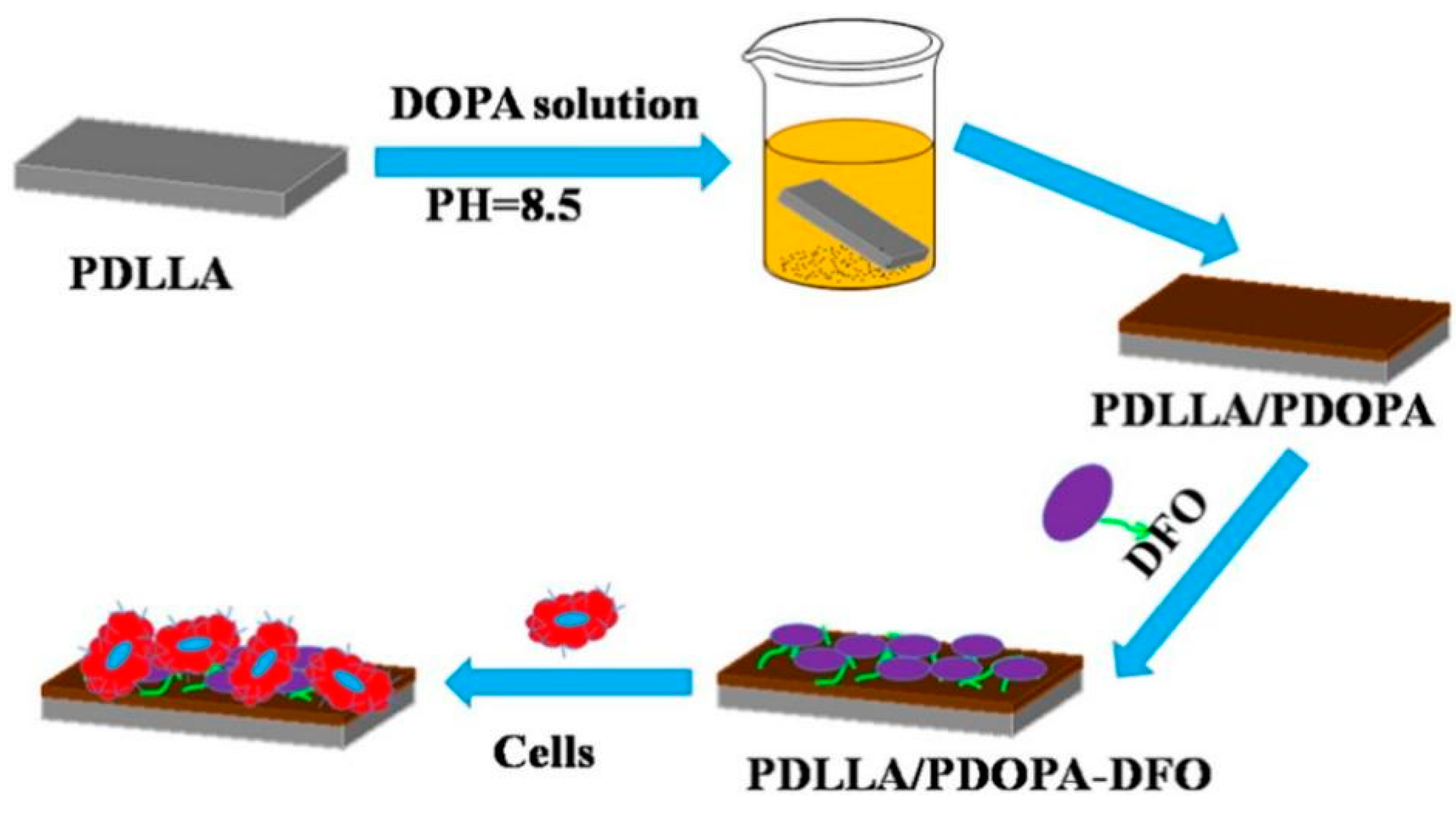 Biomedicines 12 00070 g006 Biomedicines 12 00070 g006