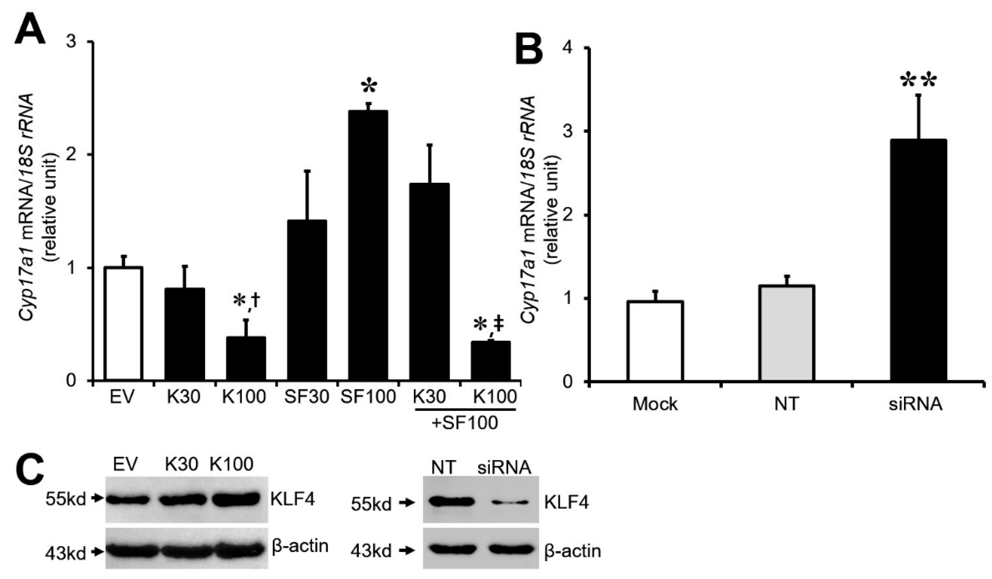 Biomedicines 12 00071 g002