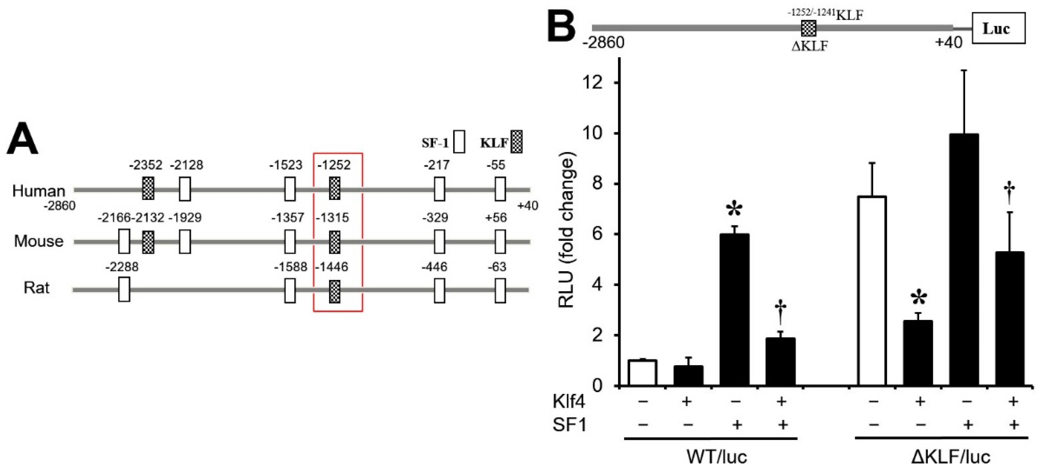 Biomedicines 12 00071 g005