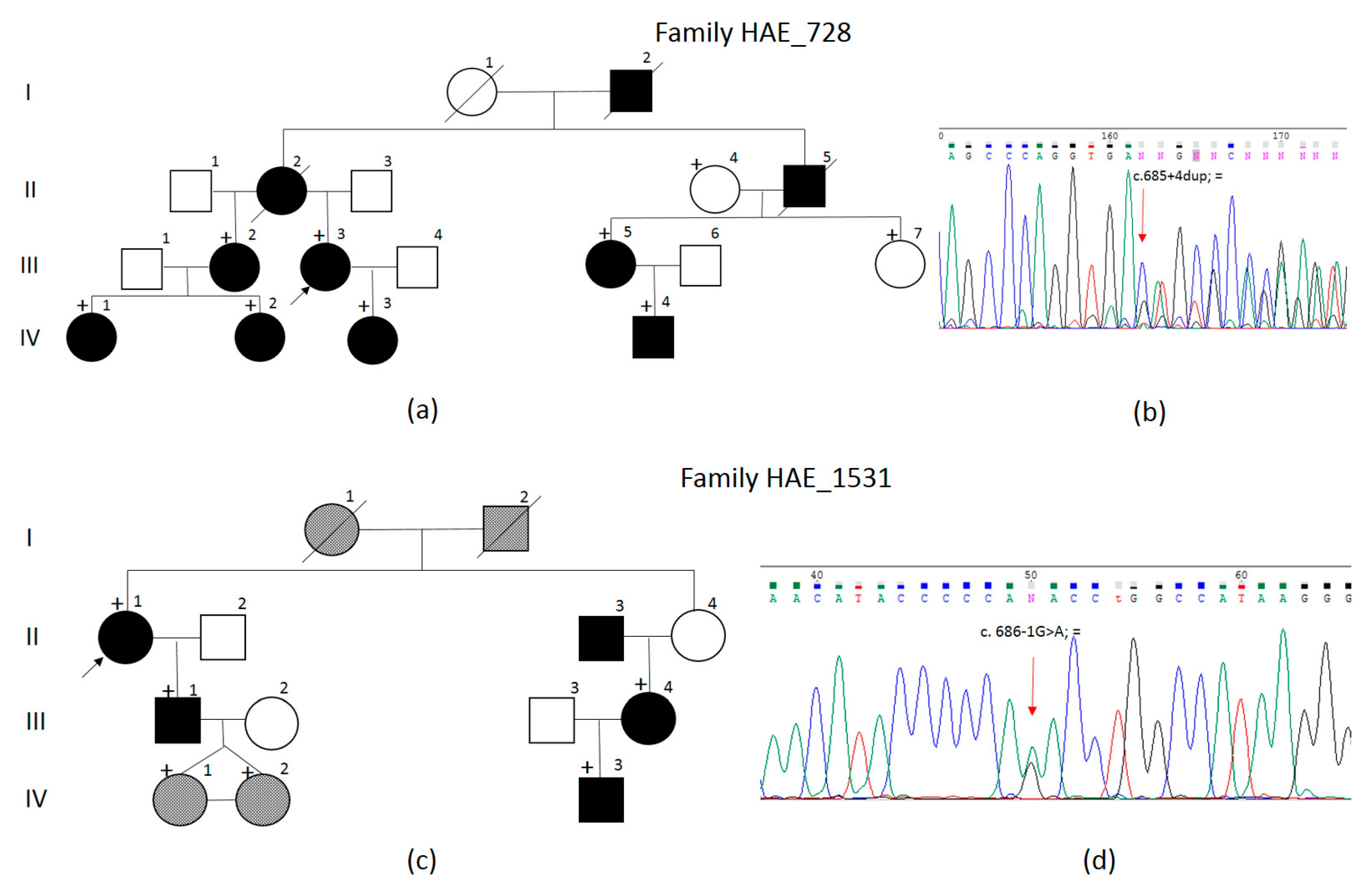 Biomedicines 12 00072 g002