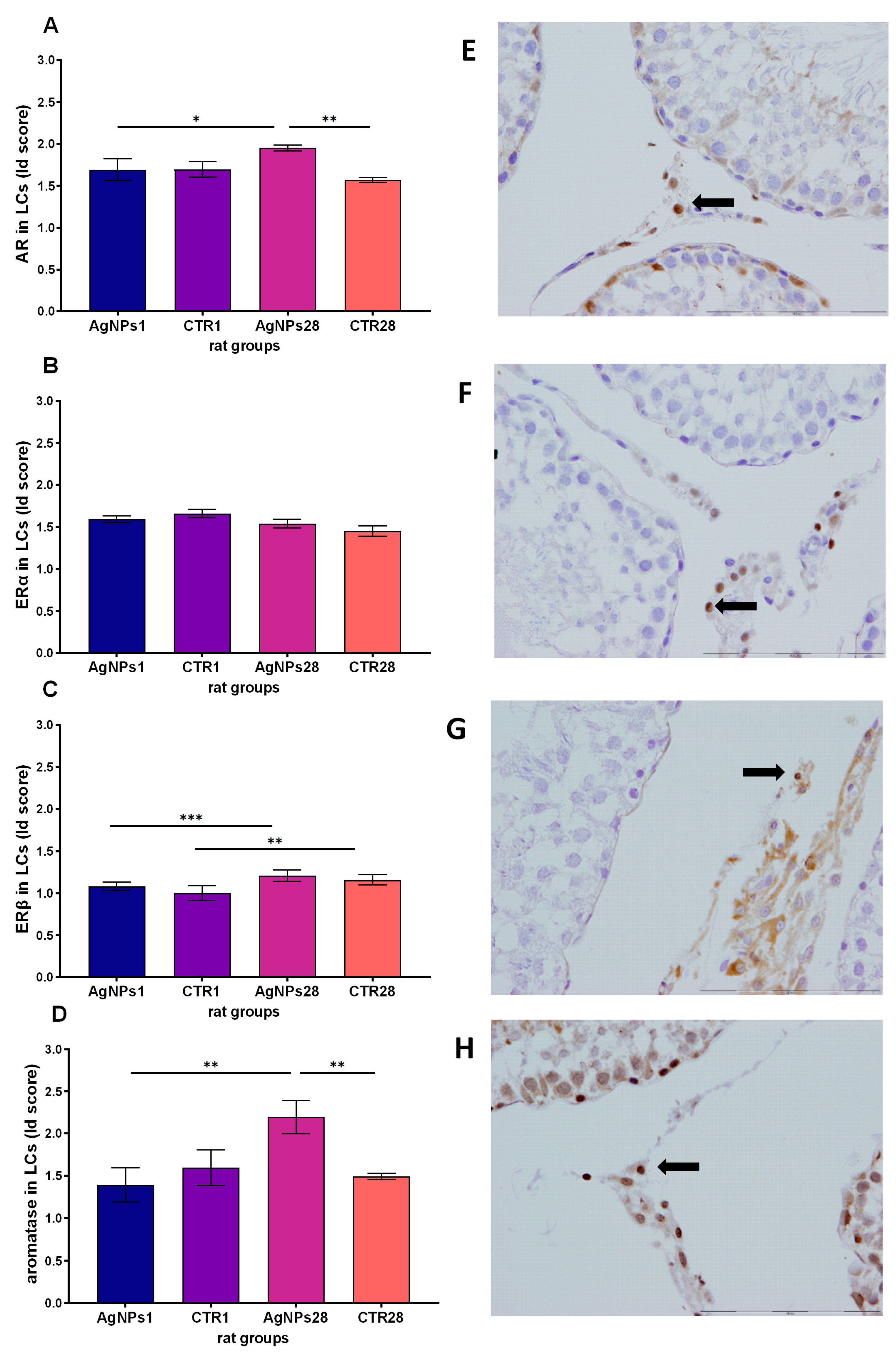 Biomedicines 12 00073 g006