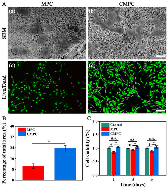 Functionalized Magnesium Phosphate Cement Induces In Situ