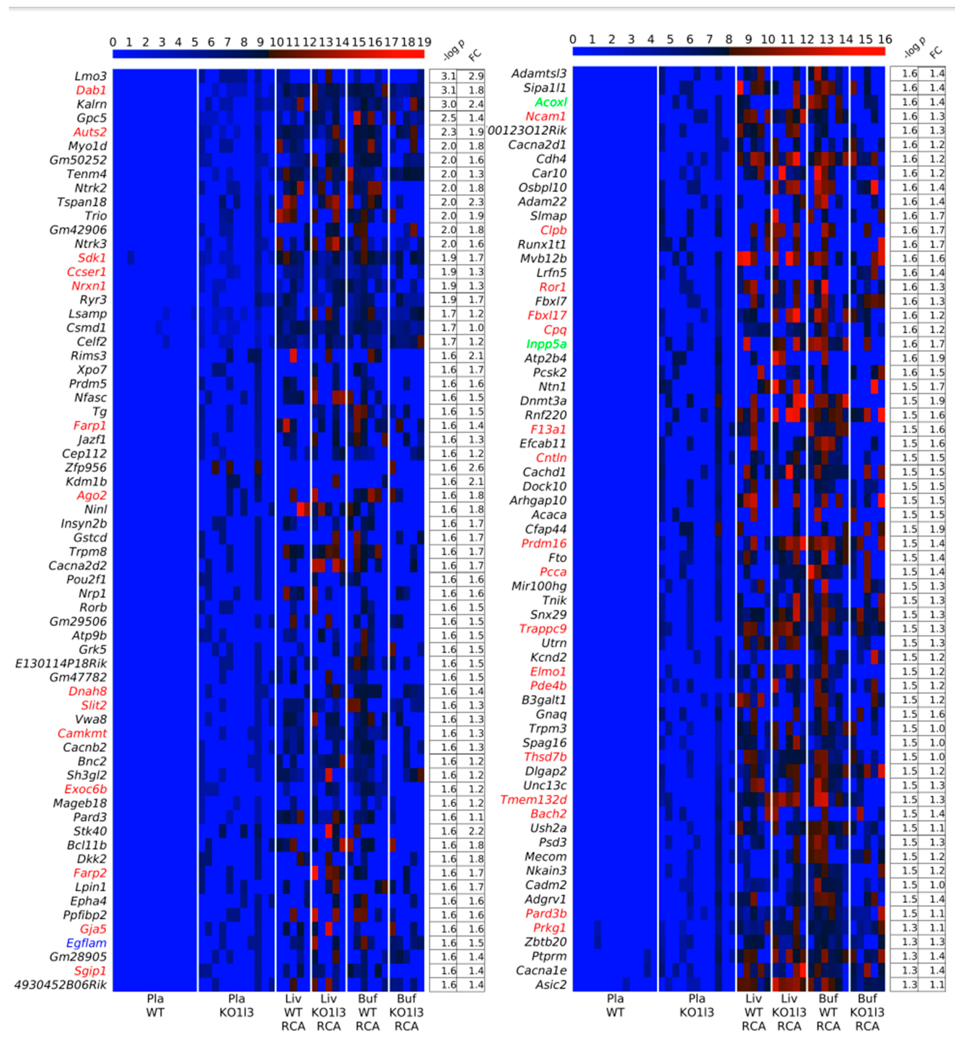 Biomedicines 12 00080 g005