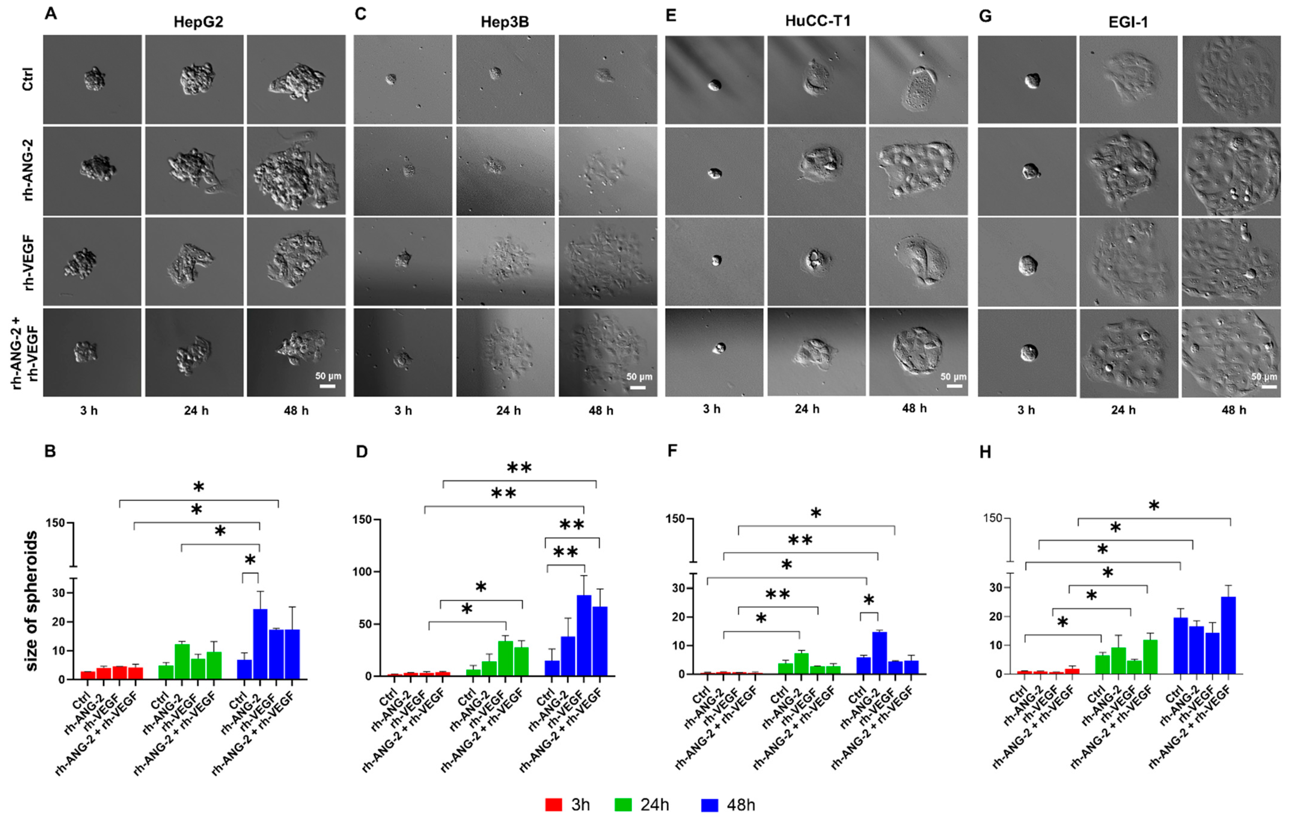 Biomedicines 12 00087 g003 Biomedicines 12 00087 g003