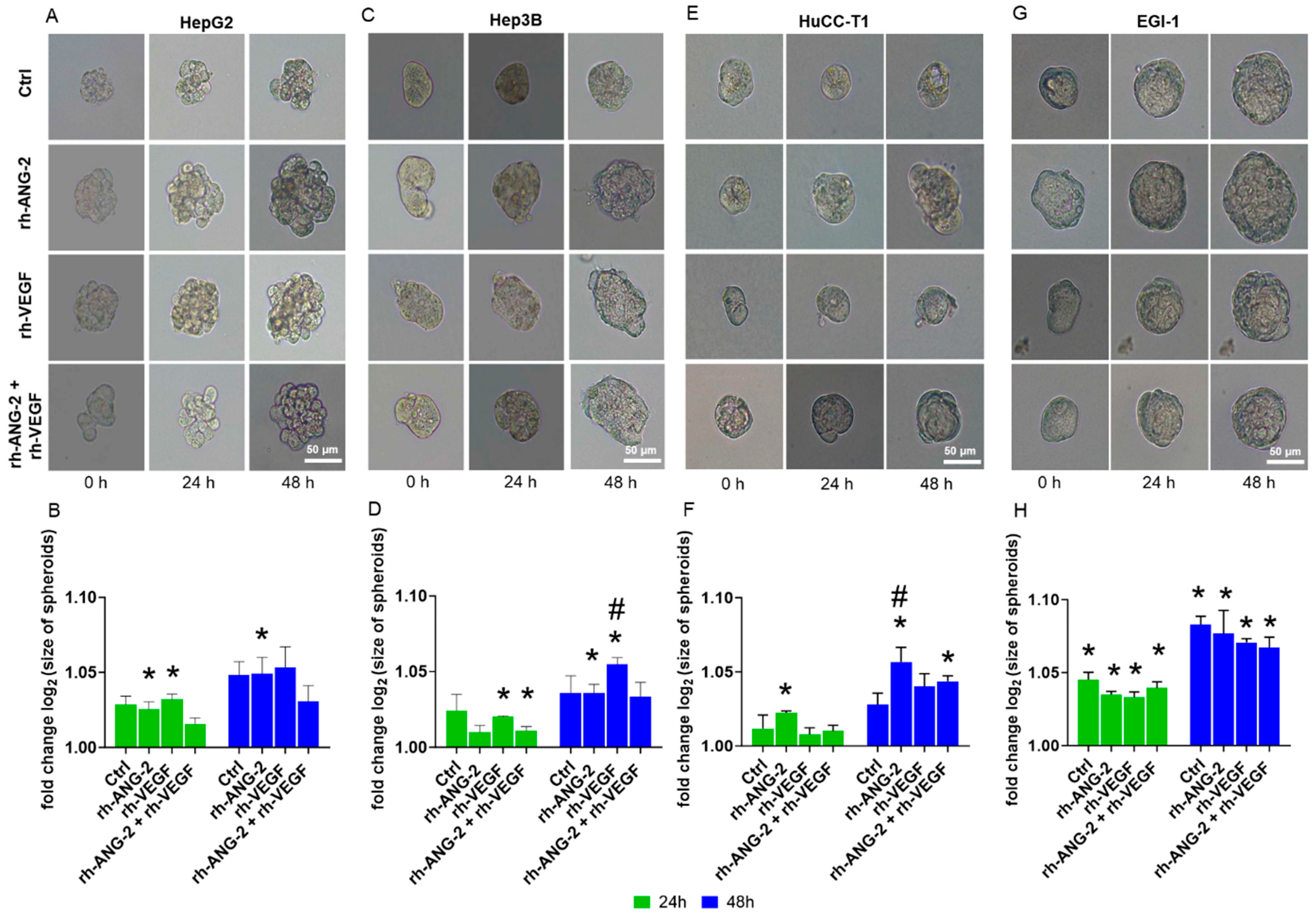 Biomedicines 12 00087 g005 Biomedicines 12 00087 g005