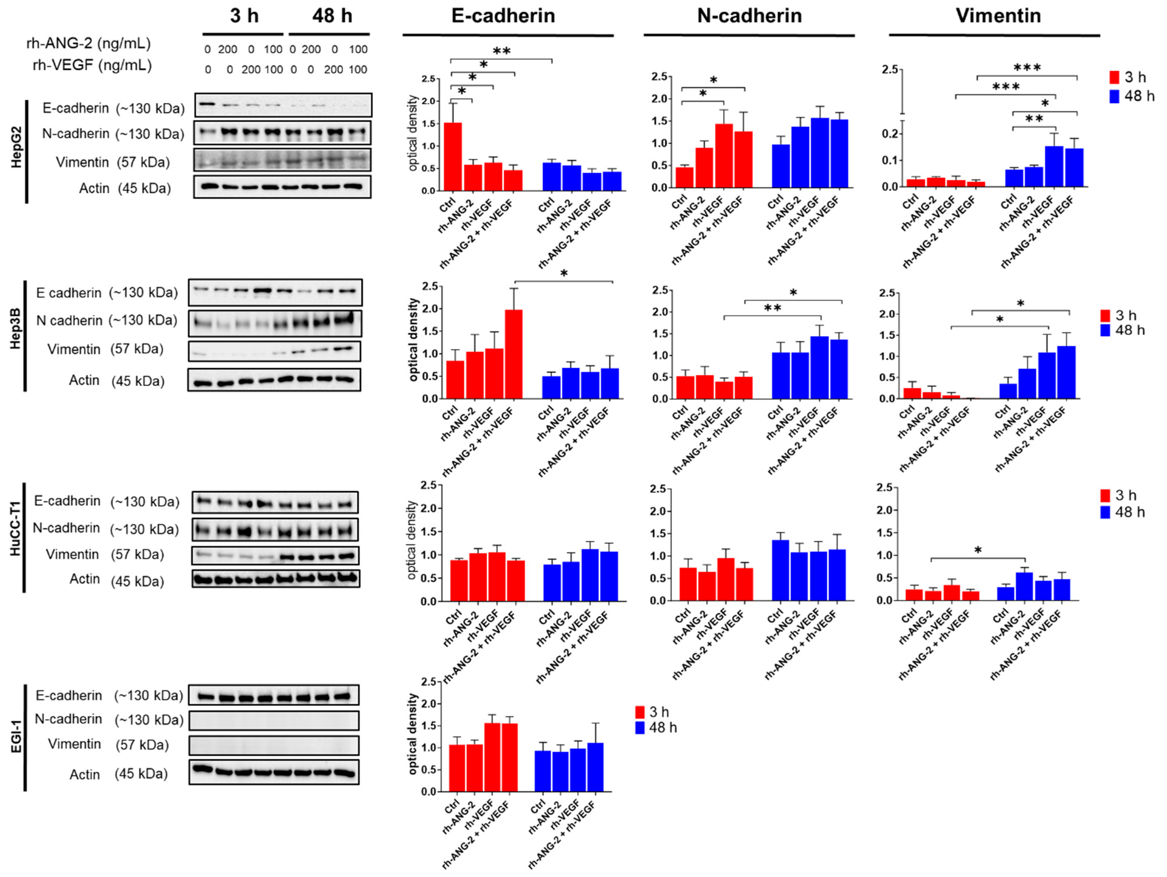 Biomedicines 12 00087 g007 Biomedicines 12 00087 g007