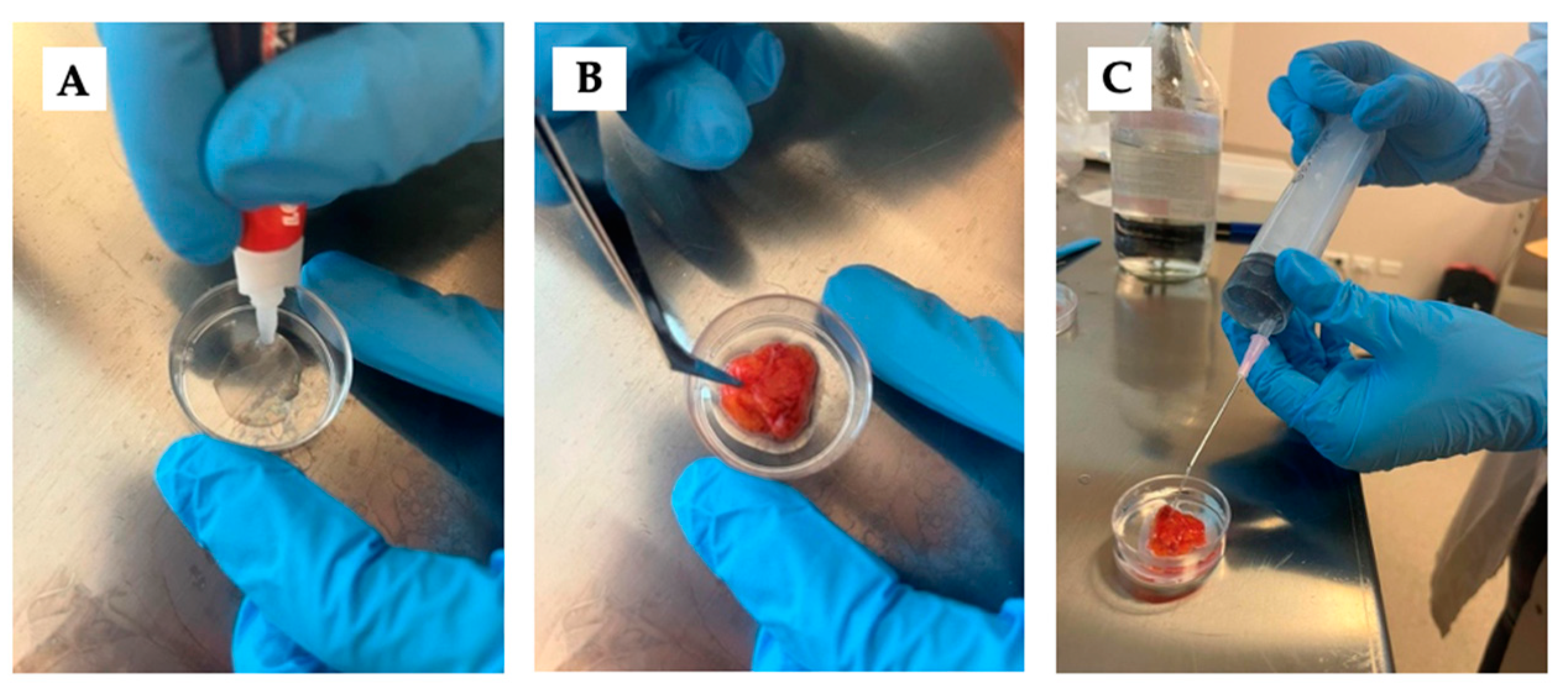 Biomedicines 12 00091 g002 Biomedicines 12 00091 g002