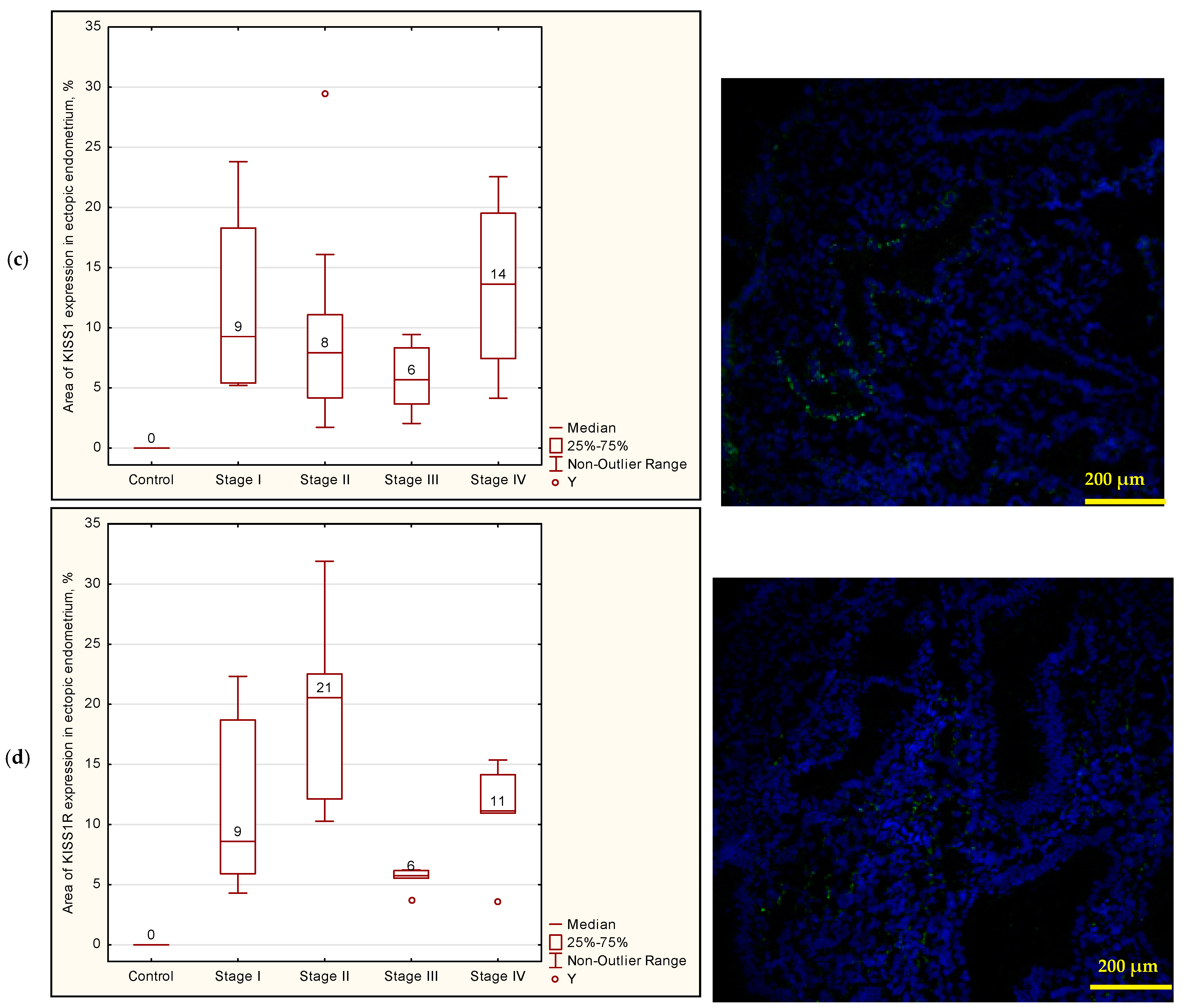 Biomedicines 12 00094 g002b