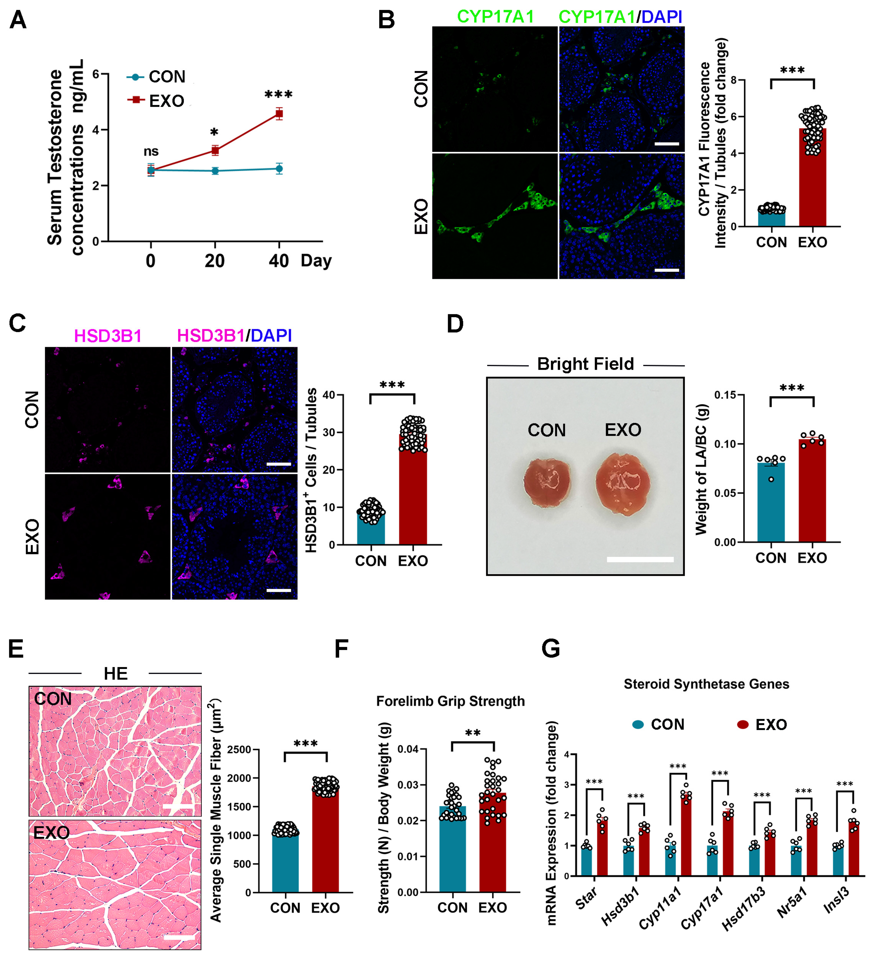 Biomedicines 12 00098 g004 Biomedicines 12 00098 g004