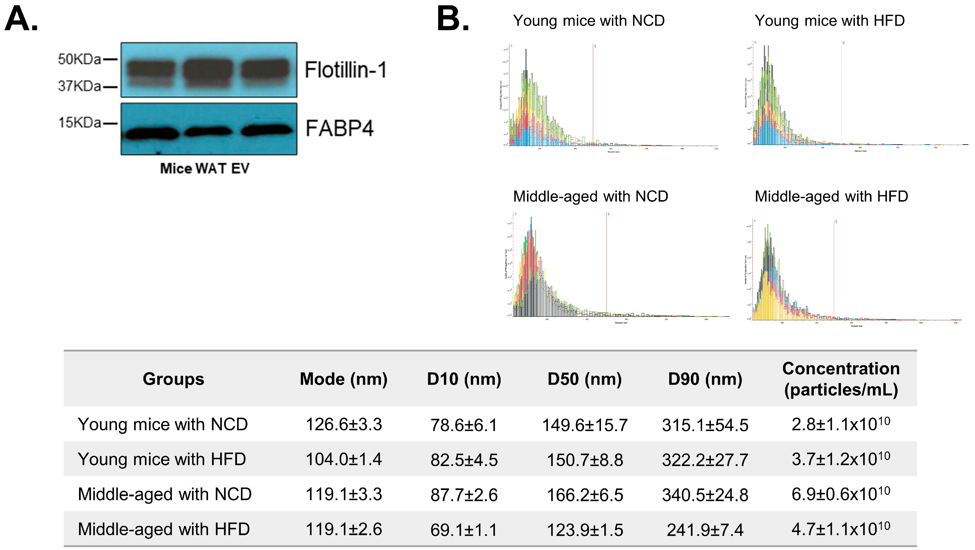 Biomedicines 12 00100 g002 Biomedicines 12 00100 g002