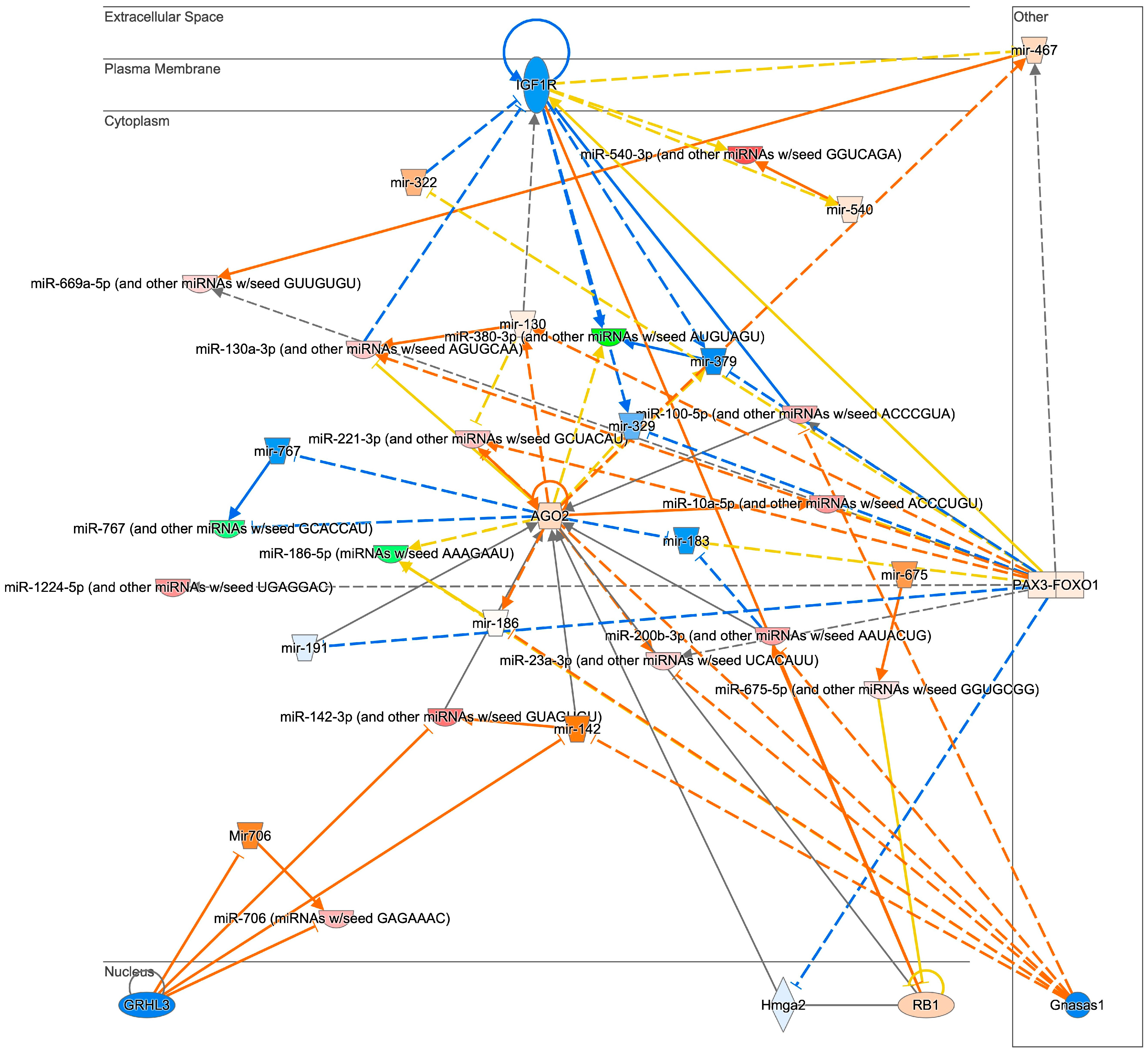 Biomedicines 12 00100 g004 Biomedicines 12 00100 g004