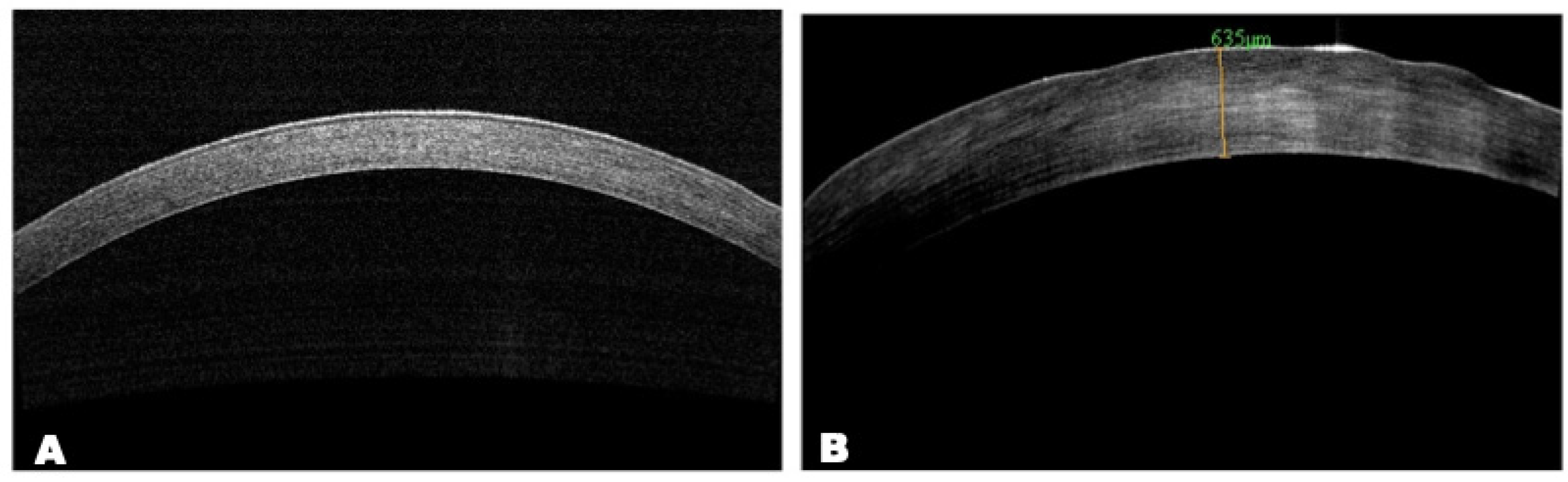 Biomedicines 12 00101 g009