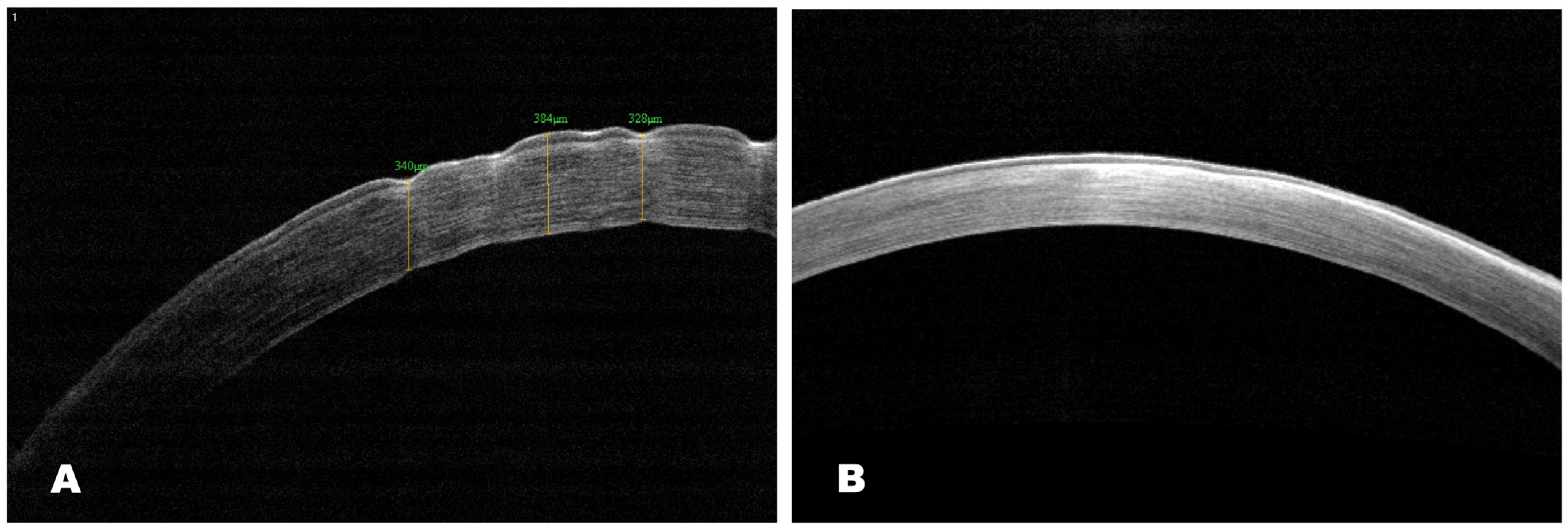 Biomedicines 12 00101 g012