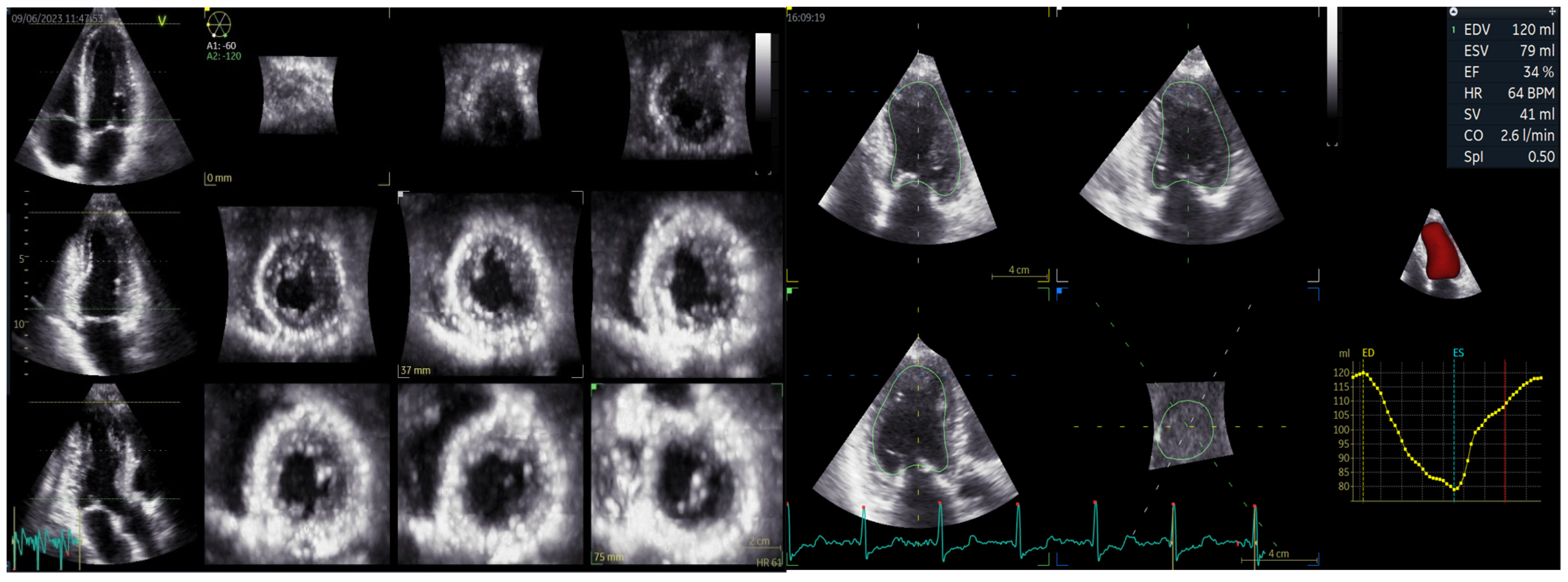 Biomedicines 12 00105 g001