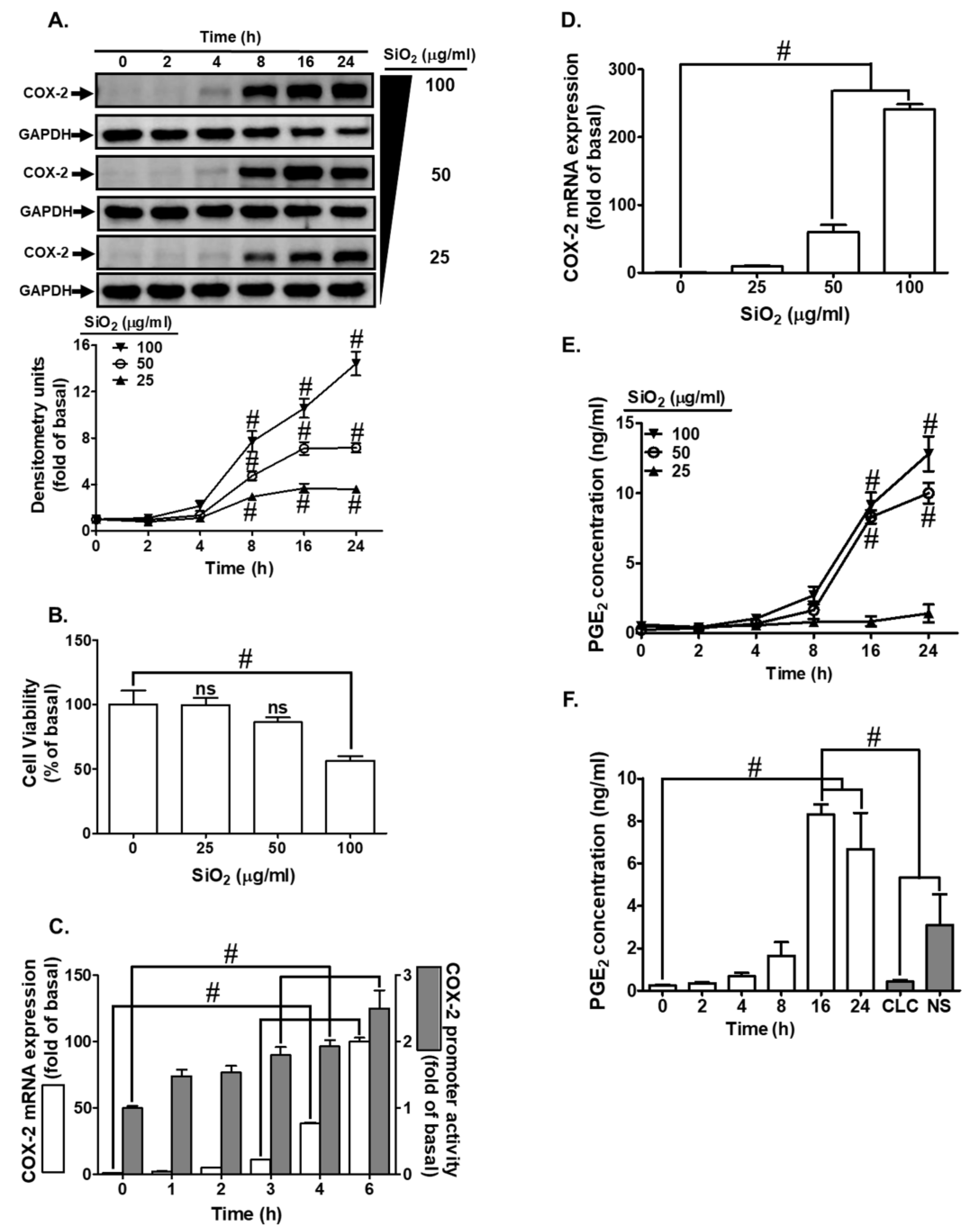 Biomedicines 12 00107 g001