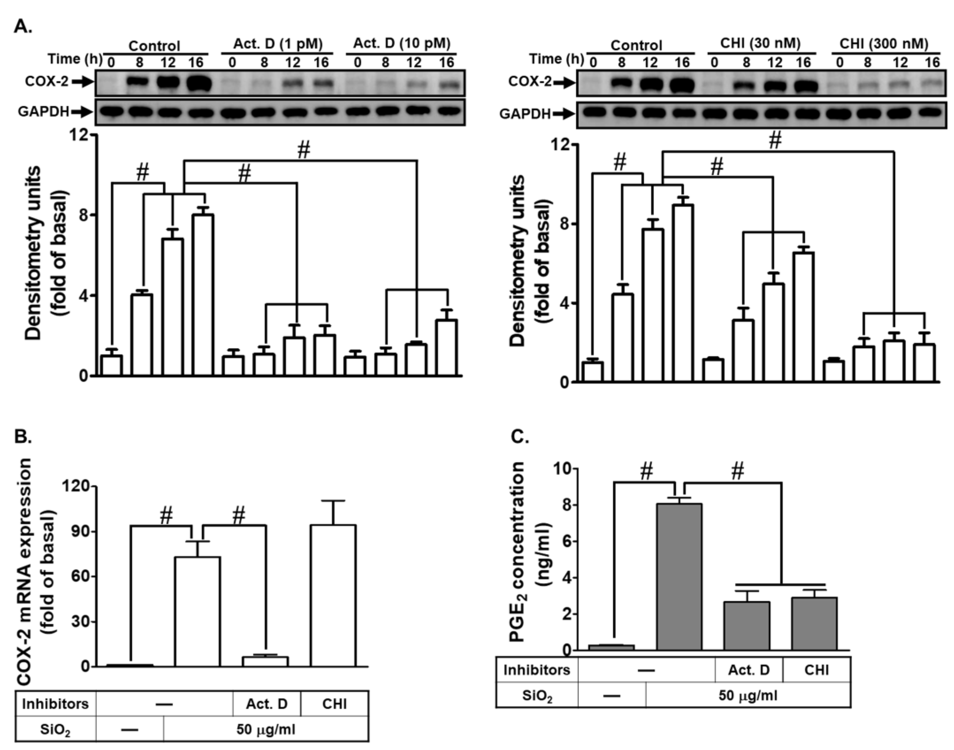 Biomedicines 12 00107 g002