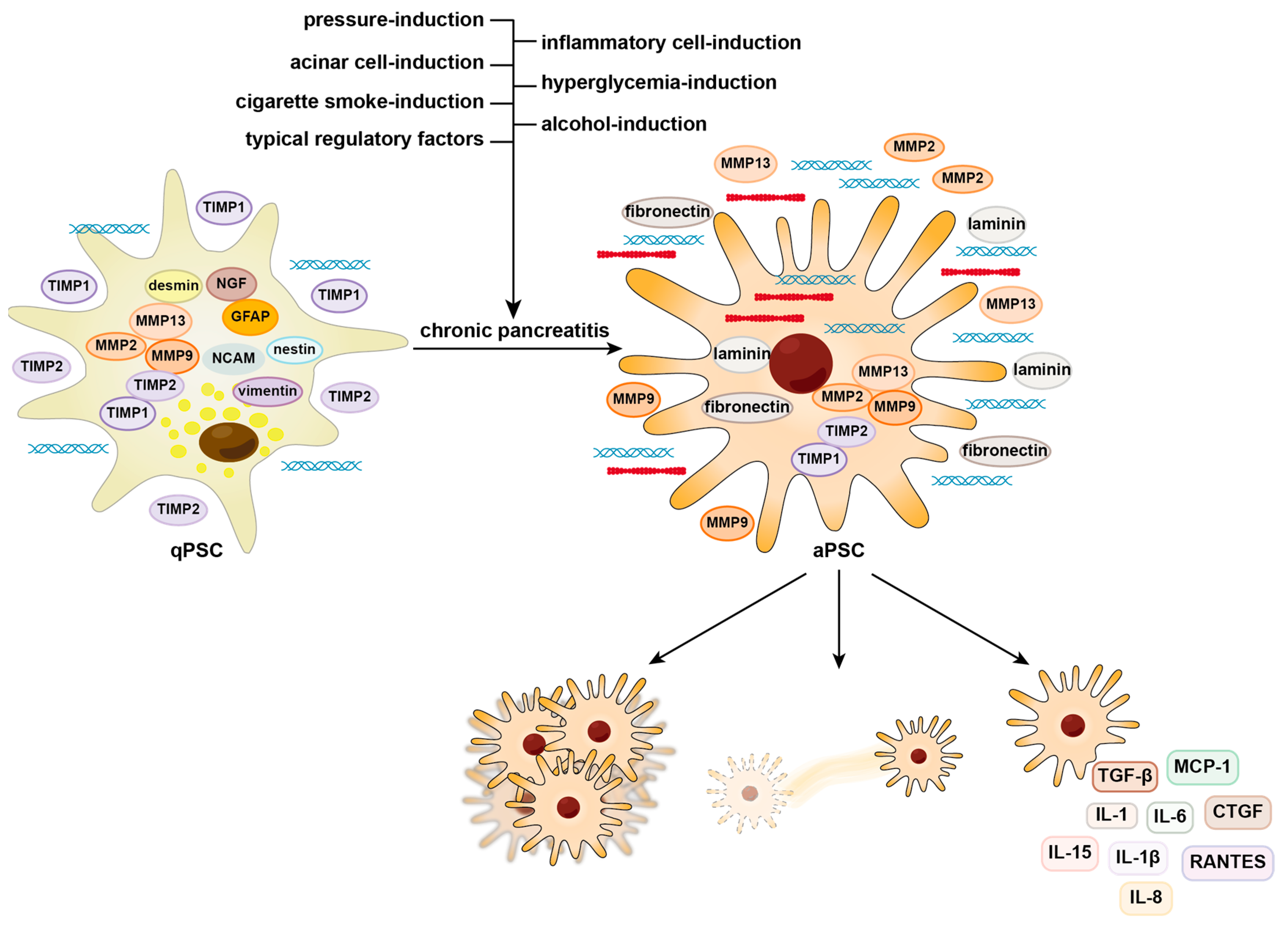 Biomedicines 12 00108 g001