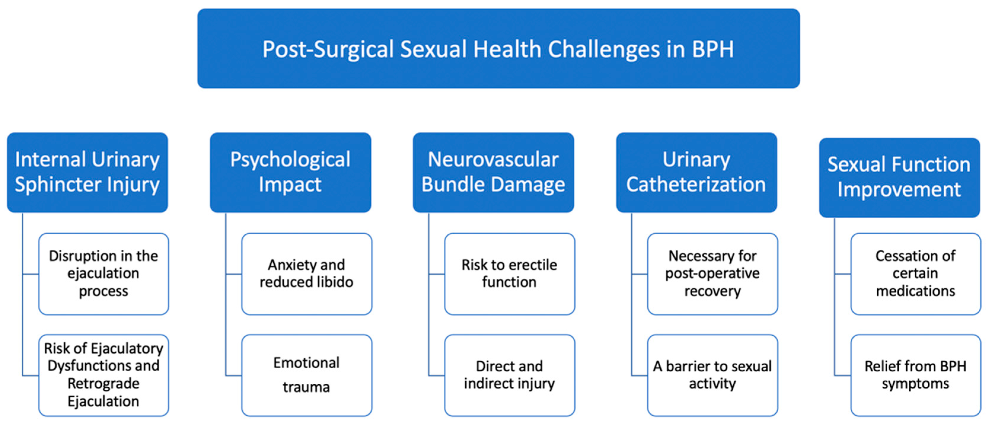 Biomedicines 12 00110 g001
