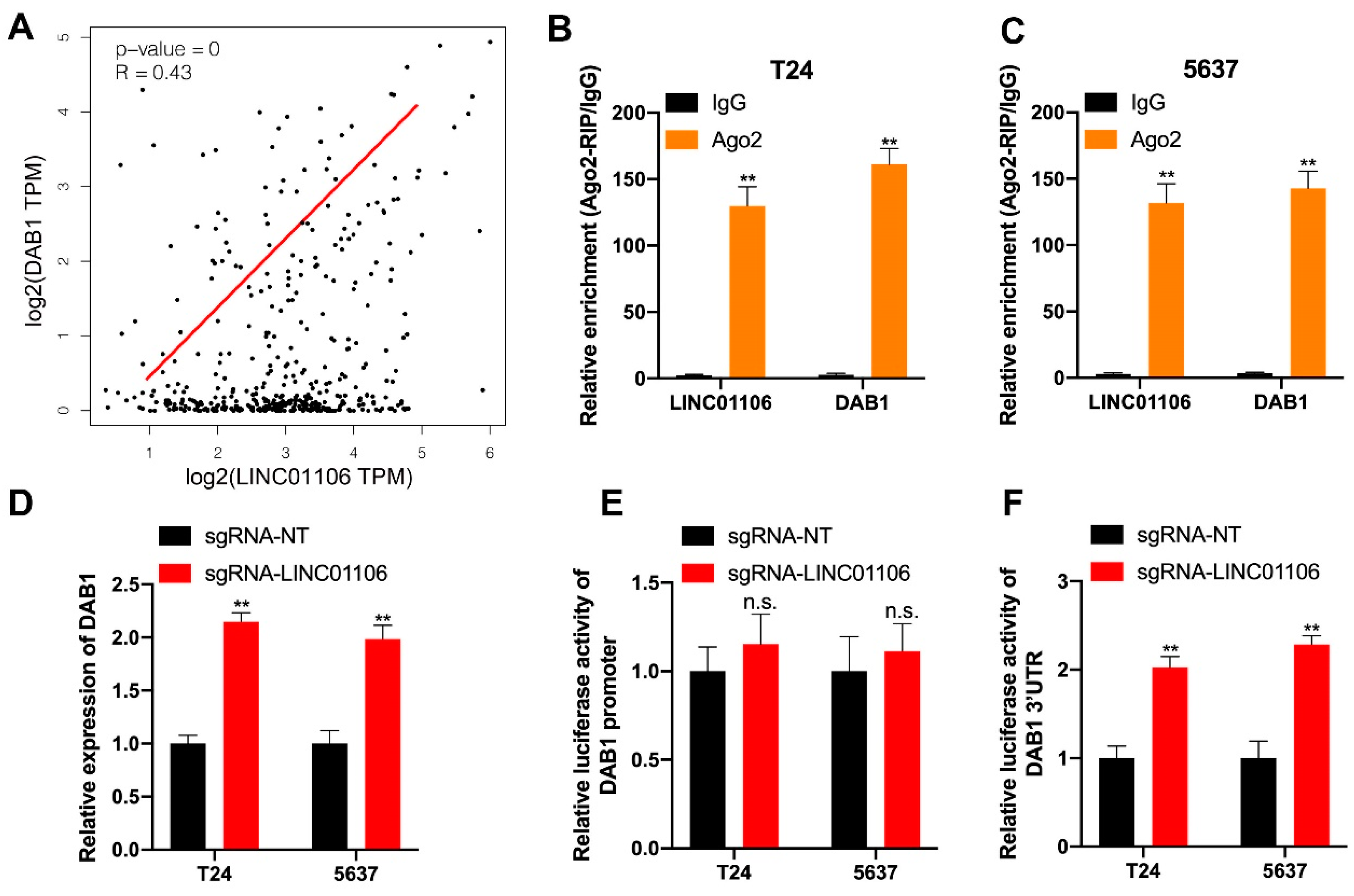Biomedicines 12 00114 g005