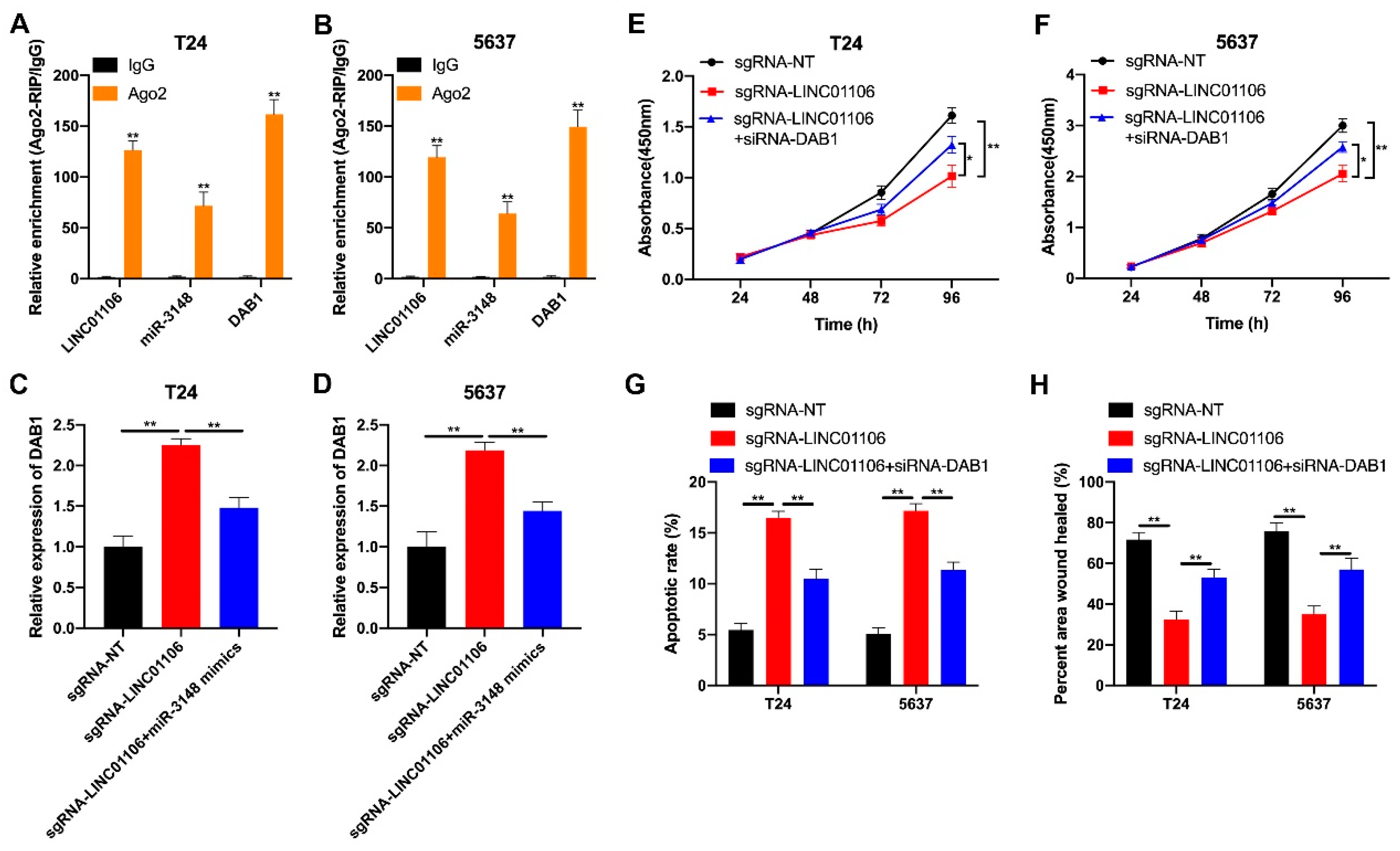 Biomedicines 12 00114 g007