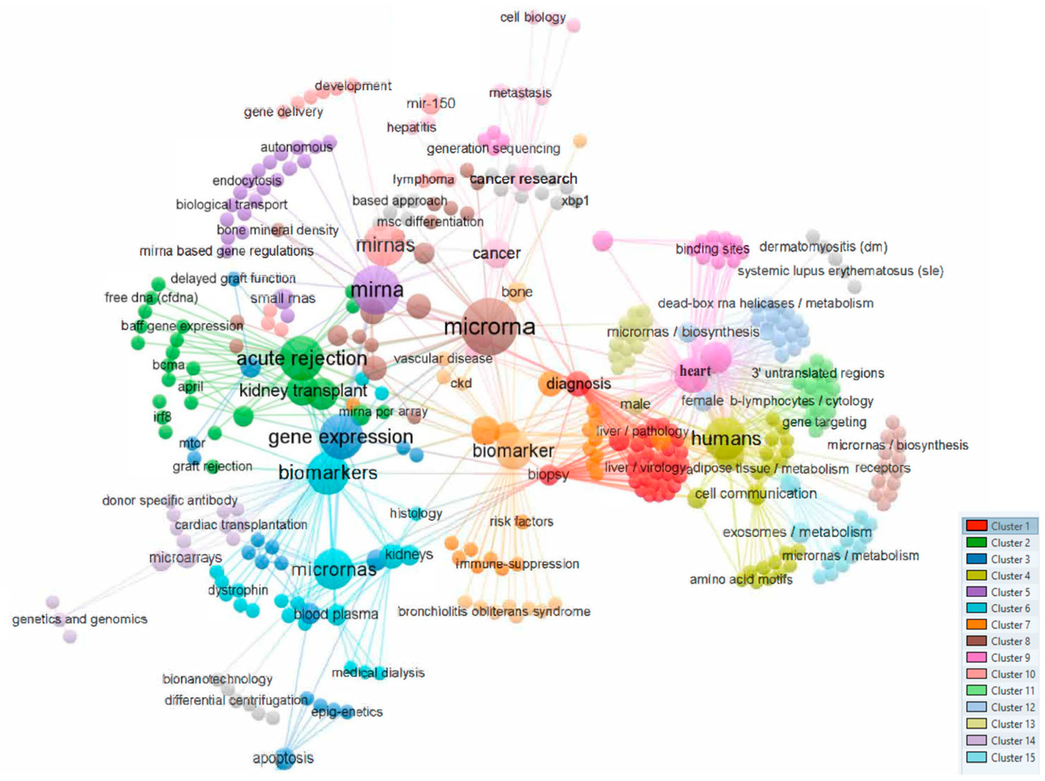 Biomedicines 12 00116 g001 Biomedicines 12 00116 g001