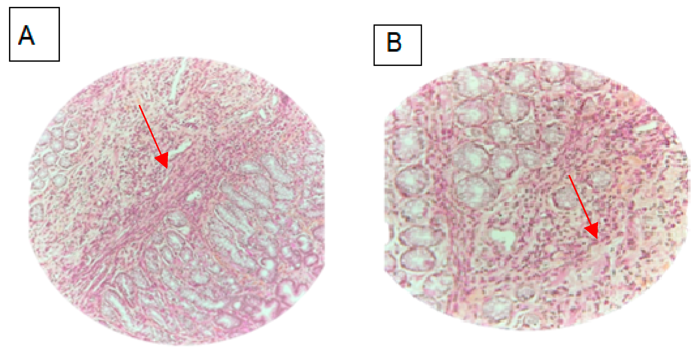 Biomedicines 12 00117 g002