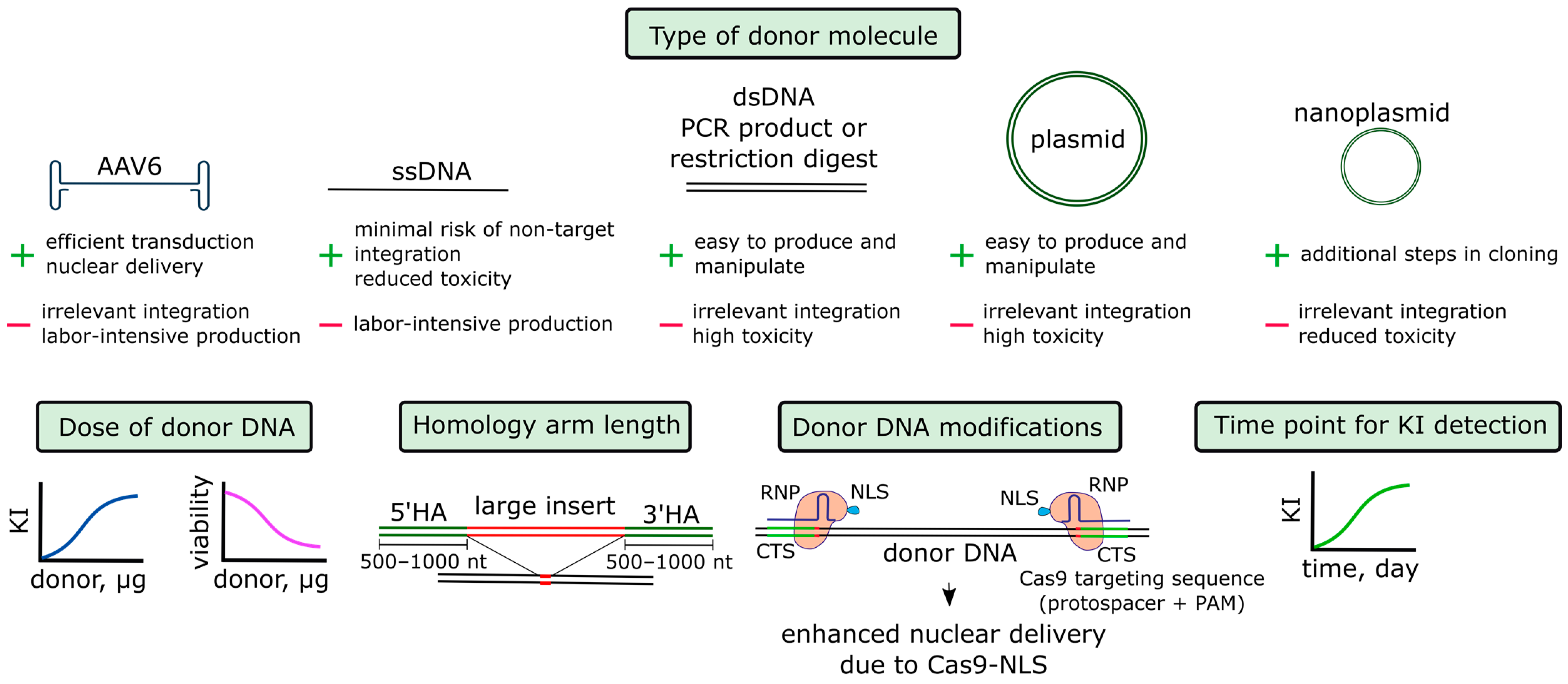 Biomedicines 12 00119 g003 Biomedicines 12 00119 g003