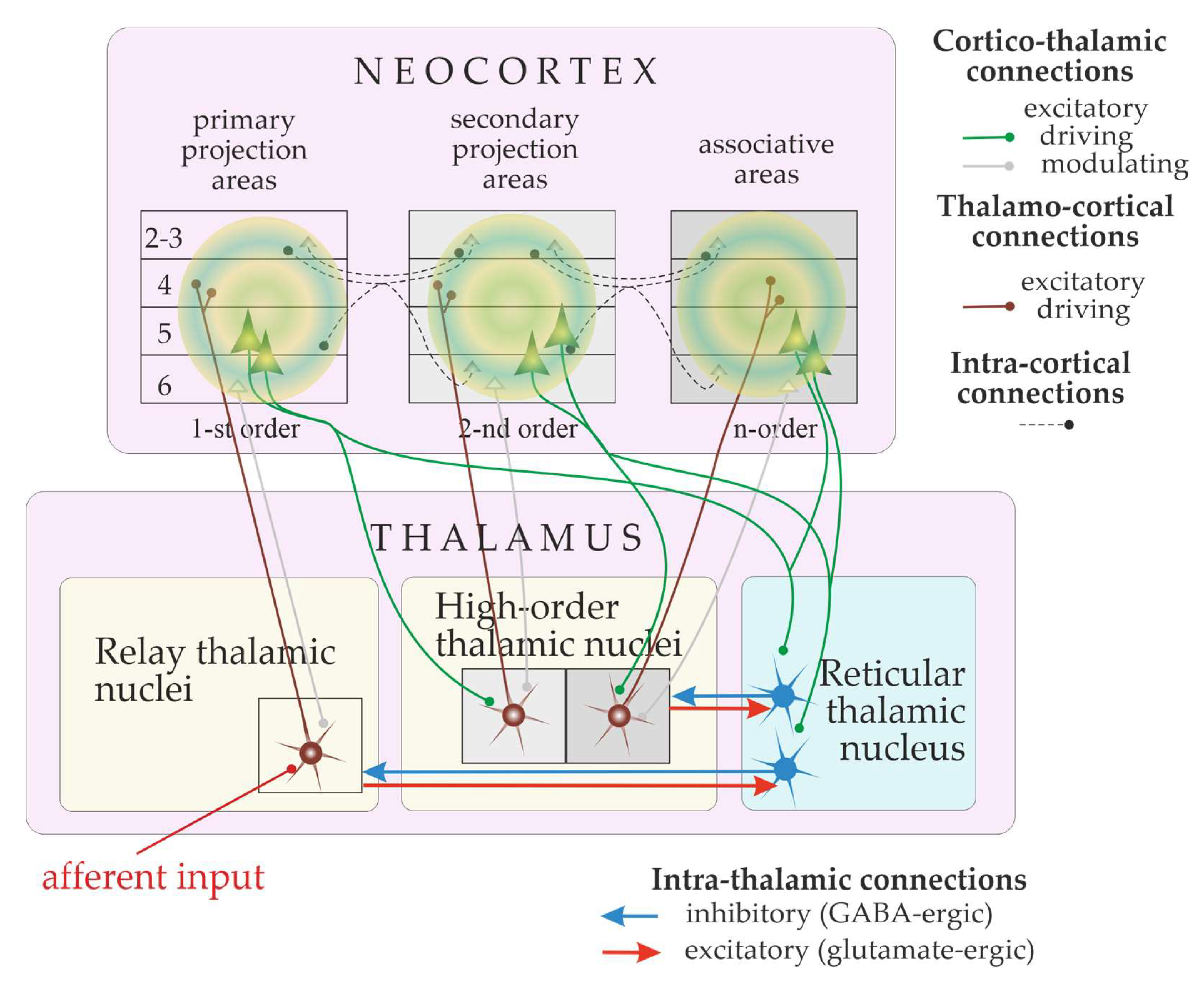 Biomedicines 12 00122 g001